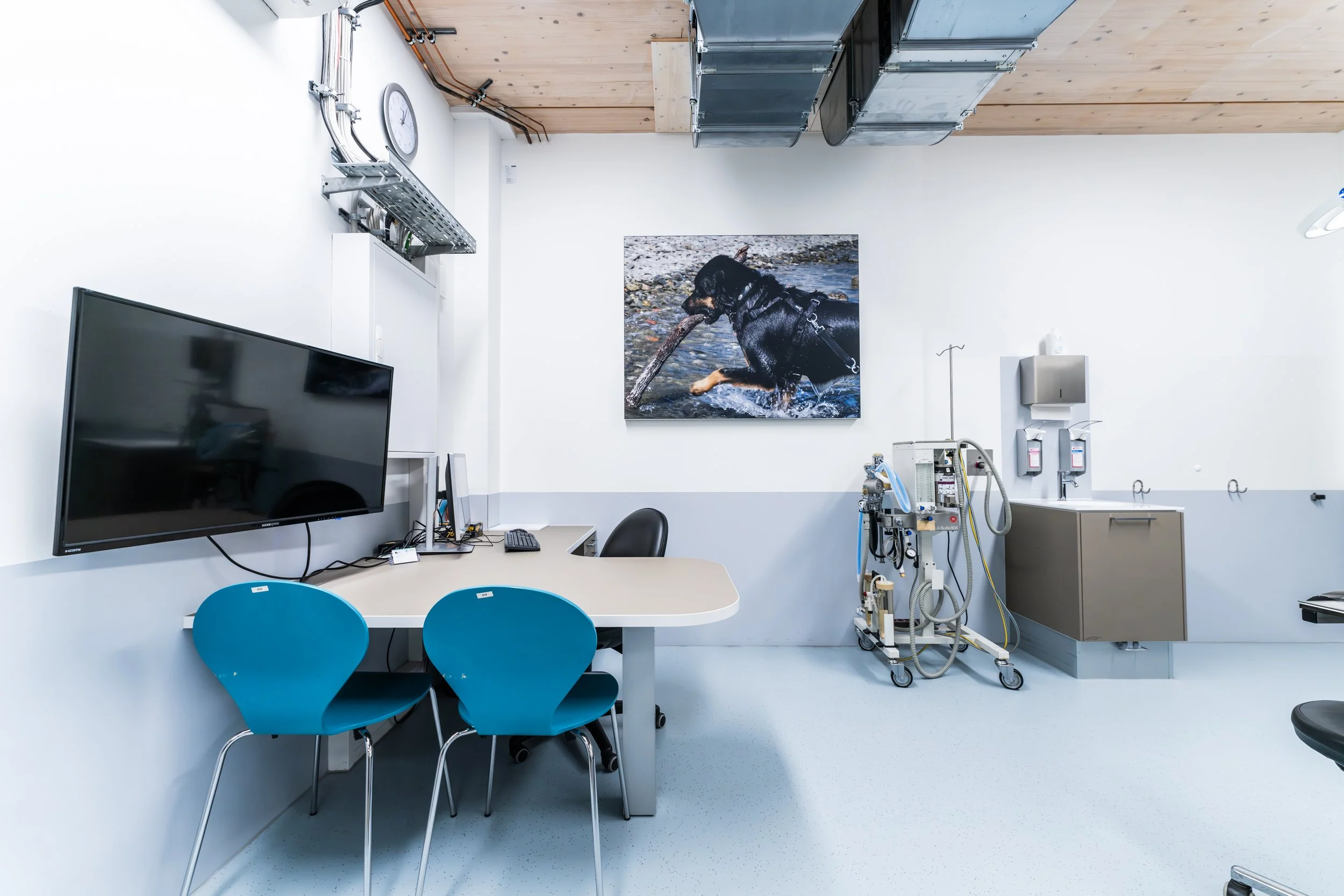 veterinary clinic design
Tierklinik Stuttgart
animal hospital design