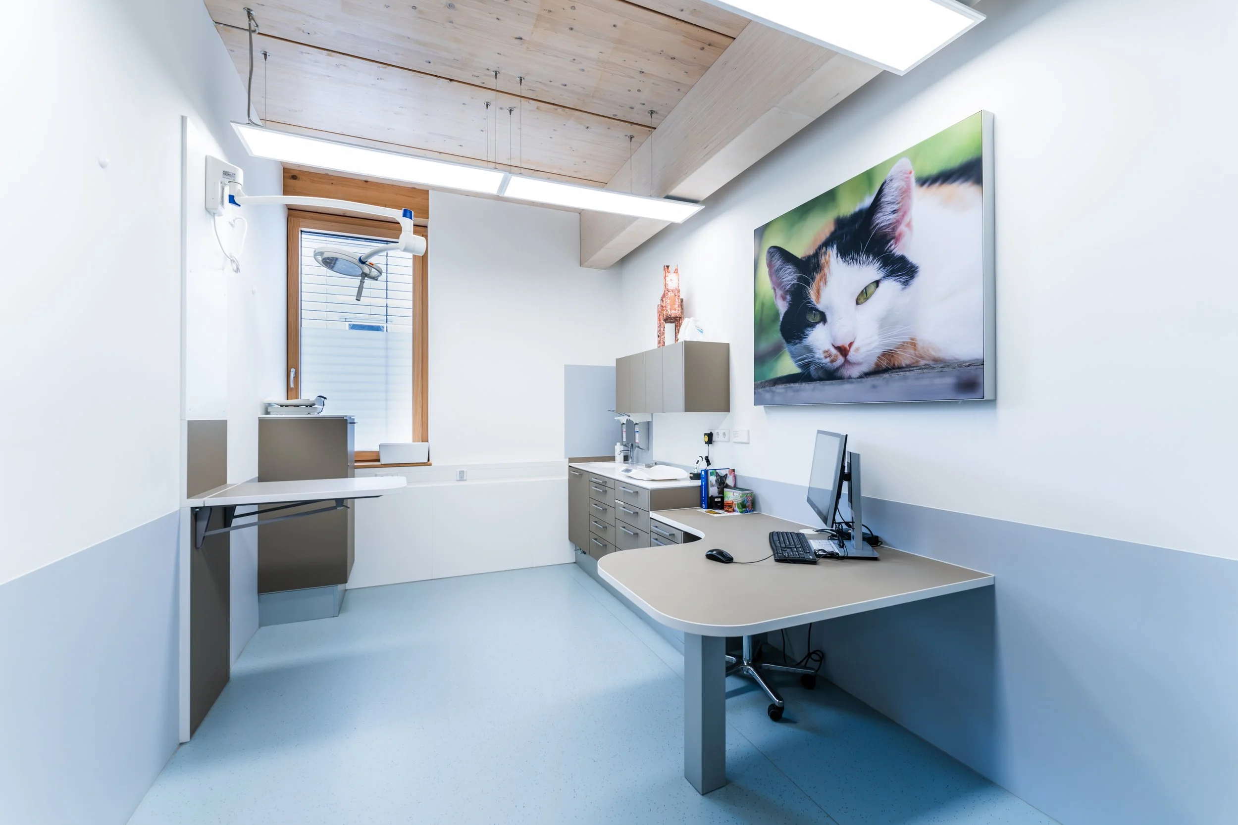 veterinary clinic design
Tierklinik Stuttgart
animal hospital design