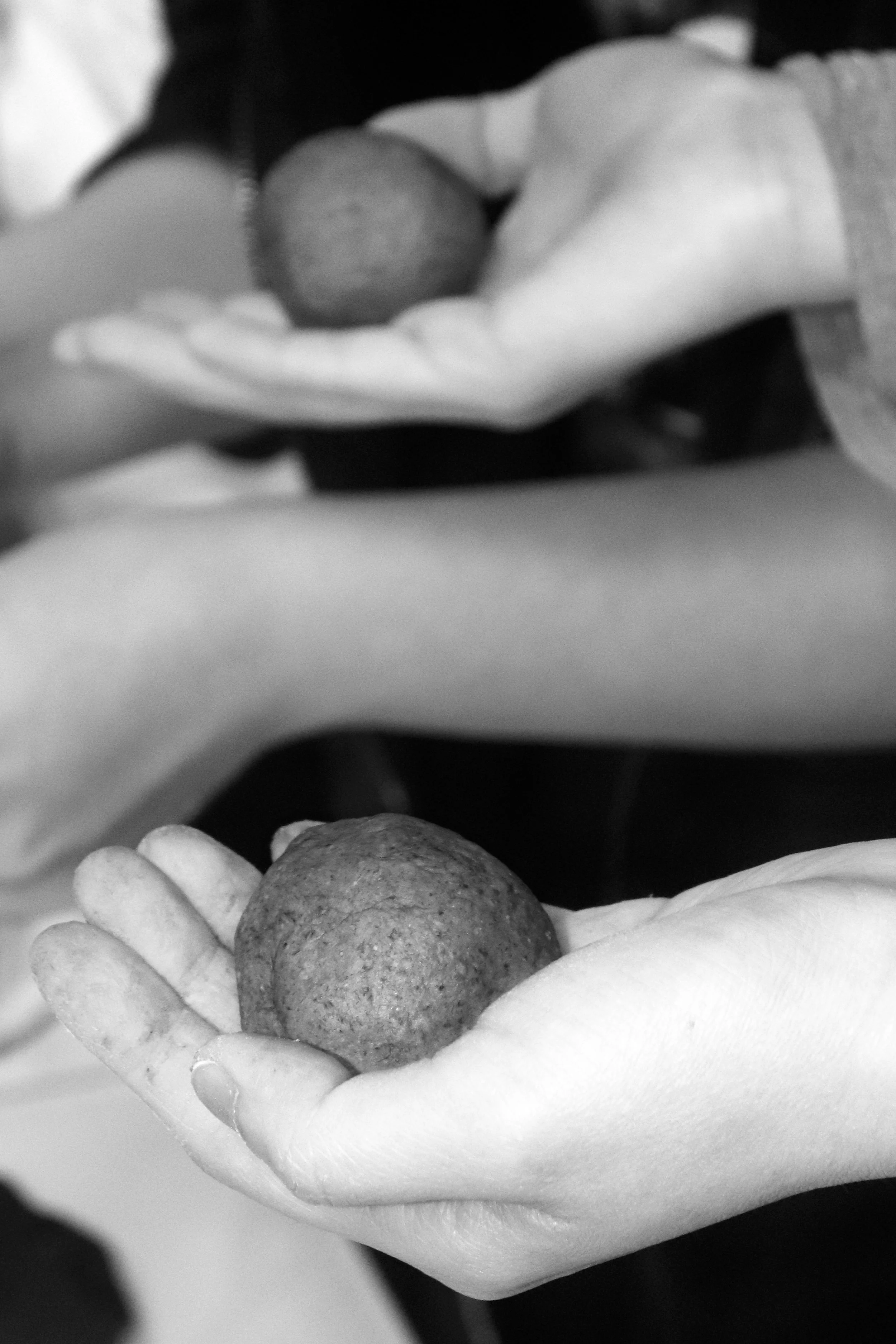 _MG_0177mono.jpg