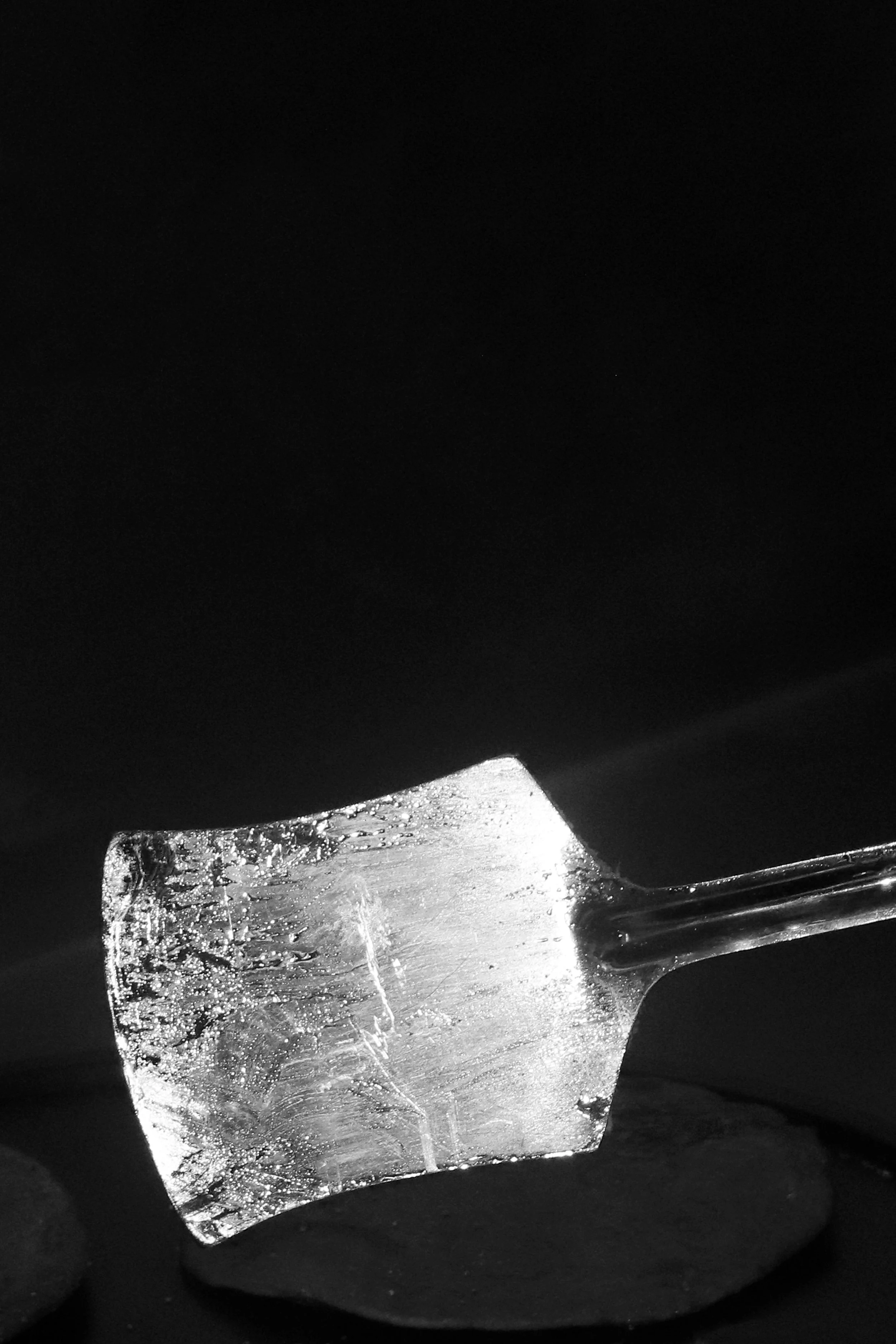 _MG_0399.jpg