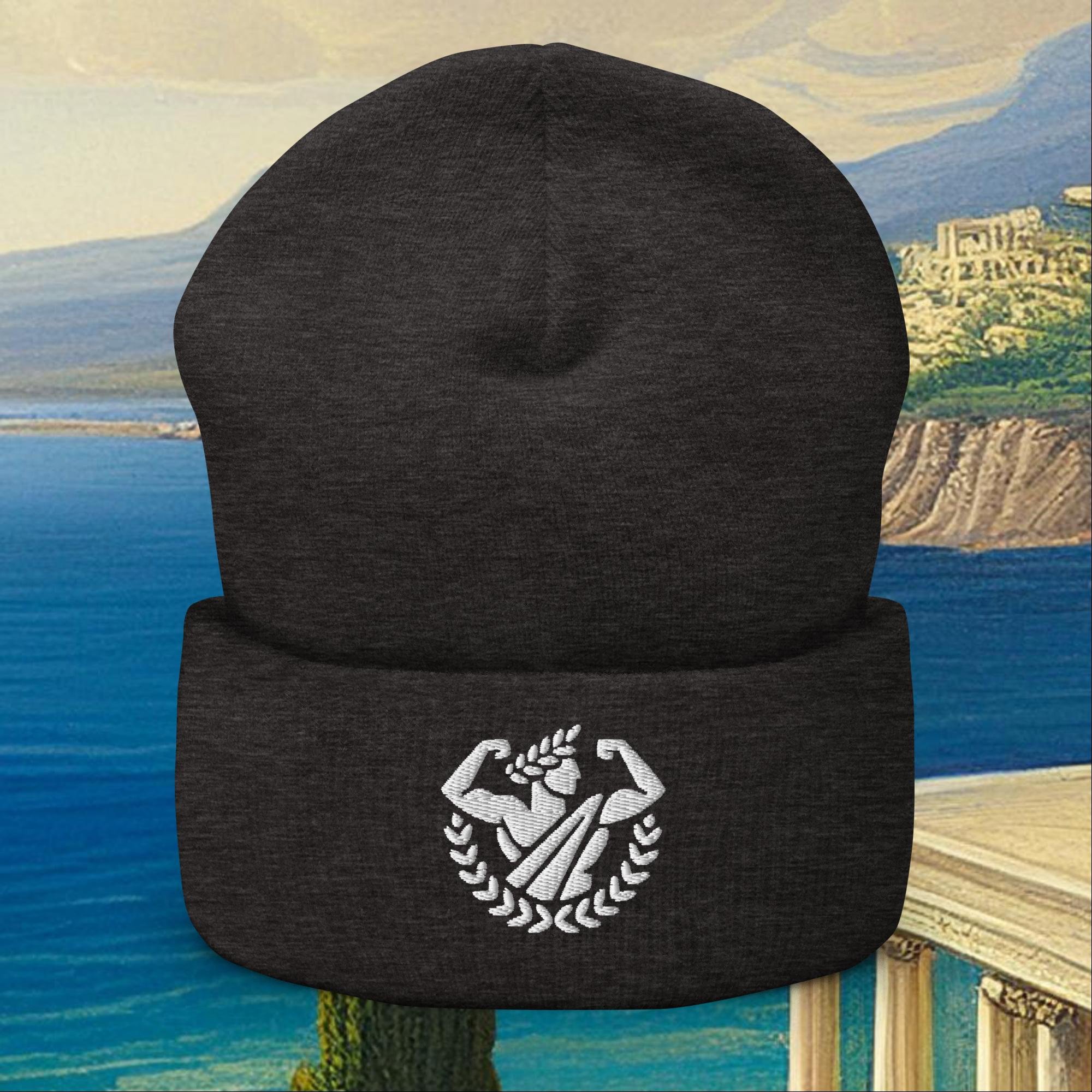 cuffed-beanie-dark-grey-front-677d75775debd.jpg