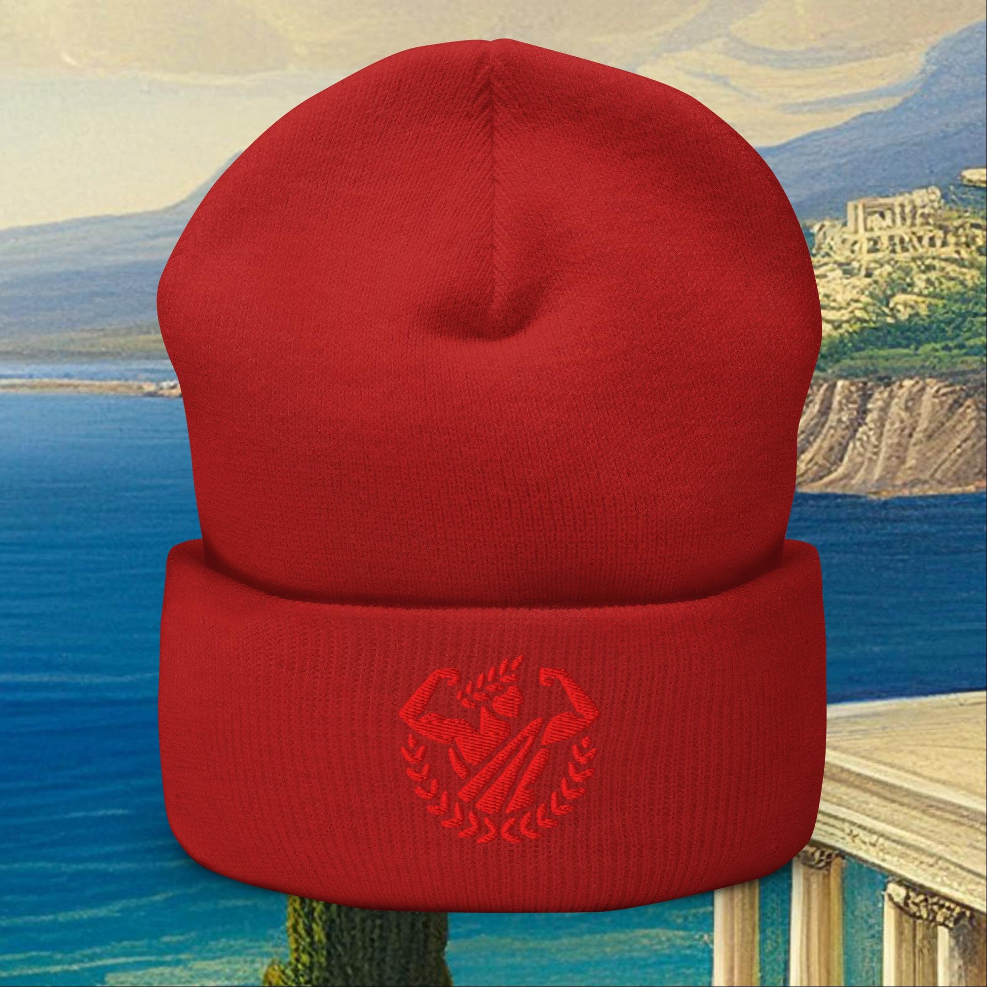 cuffed-beanie-red-front-677d75d36505e.jpg