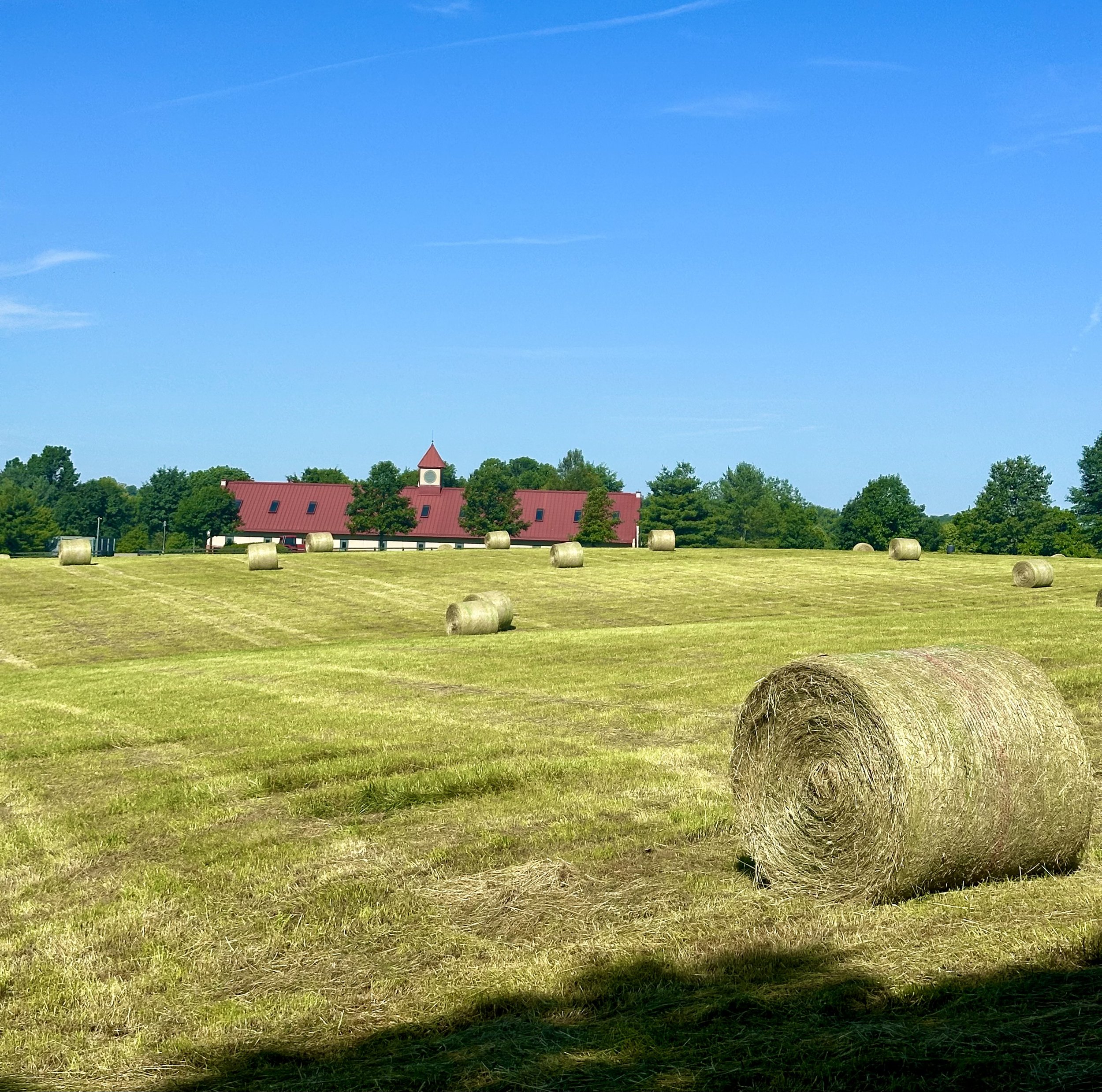 Make Hay While the Sun Shines