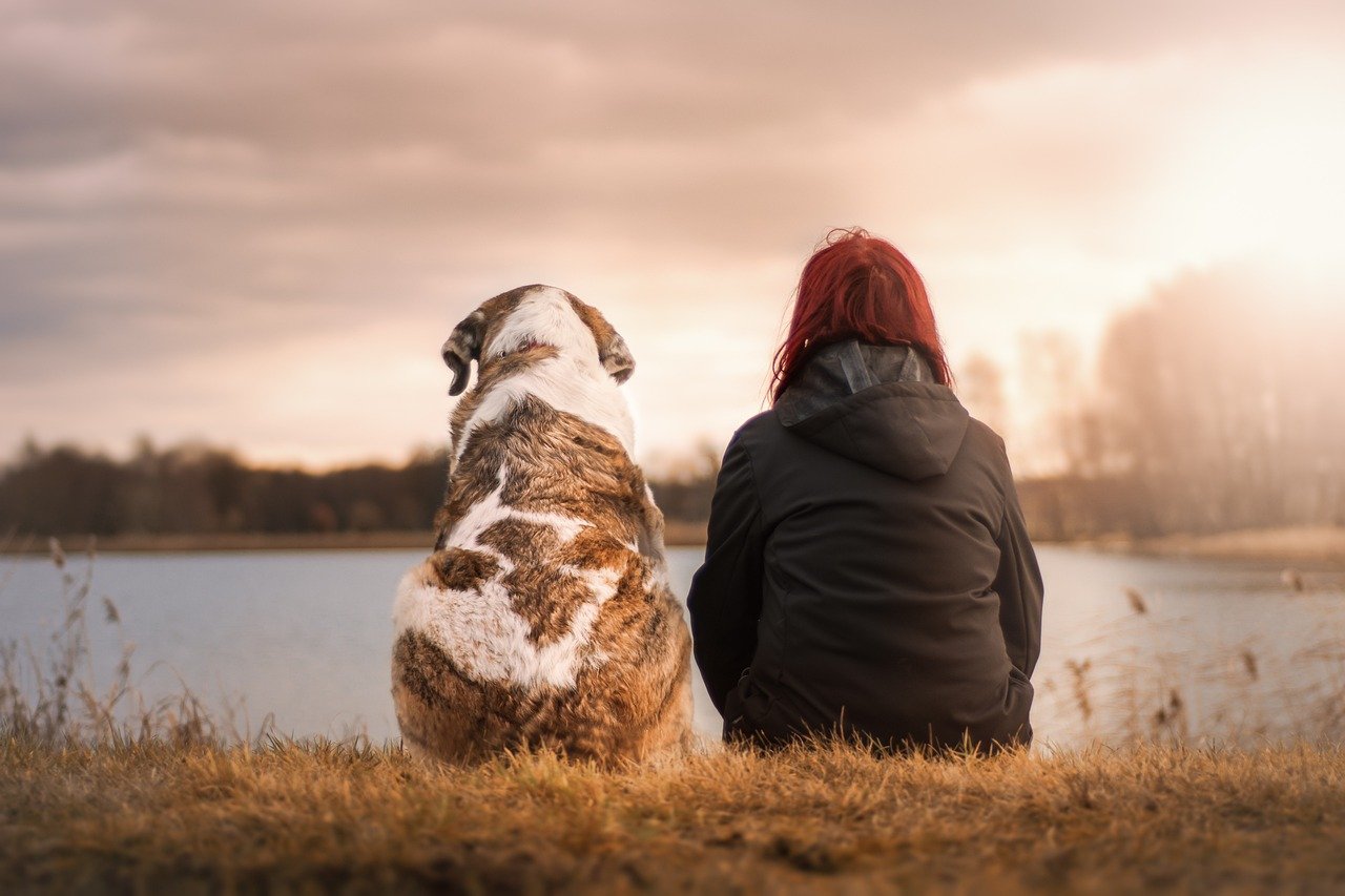 Why We Love Animals