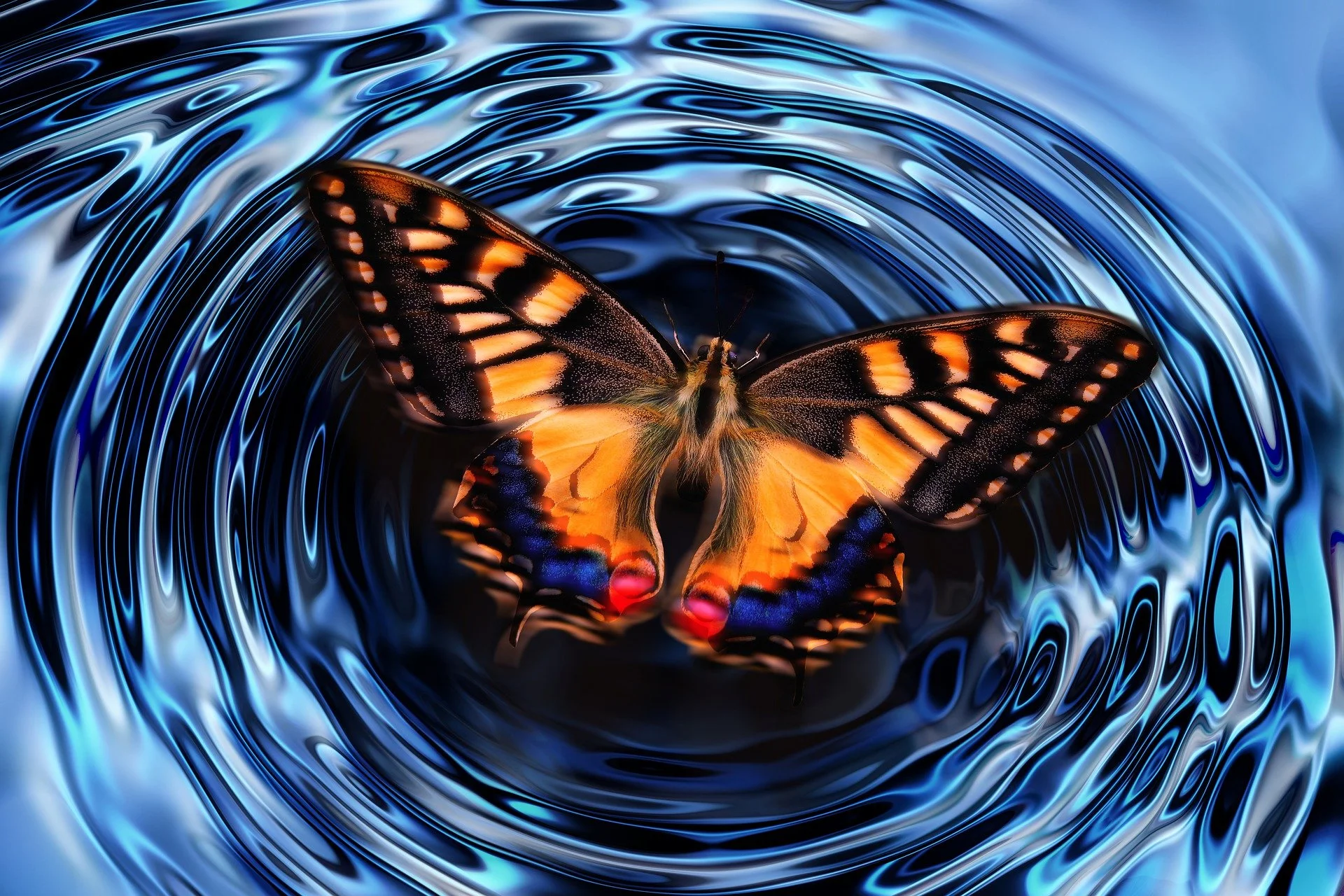 Divine, Serendipitous Butterflies
