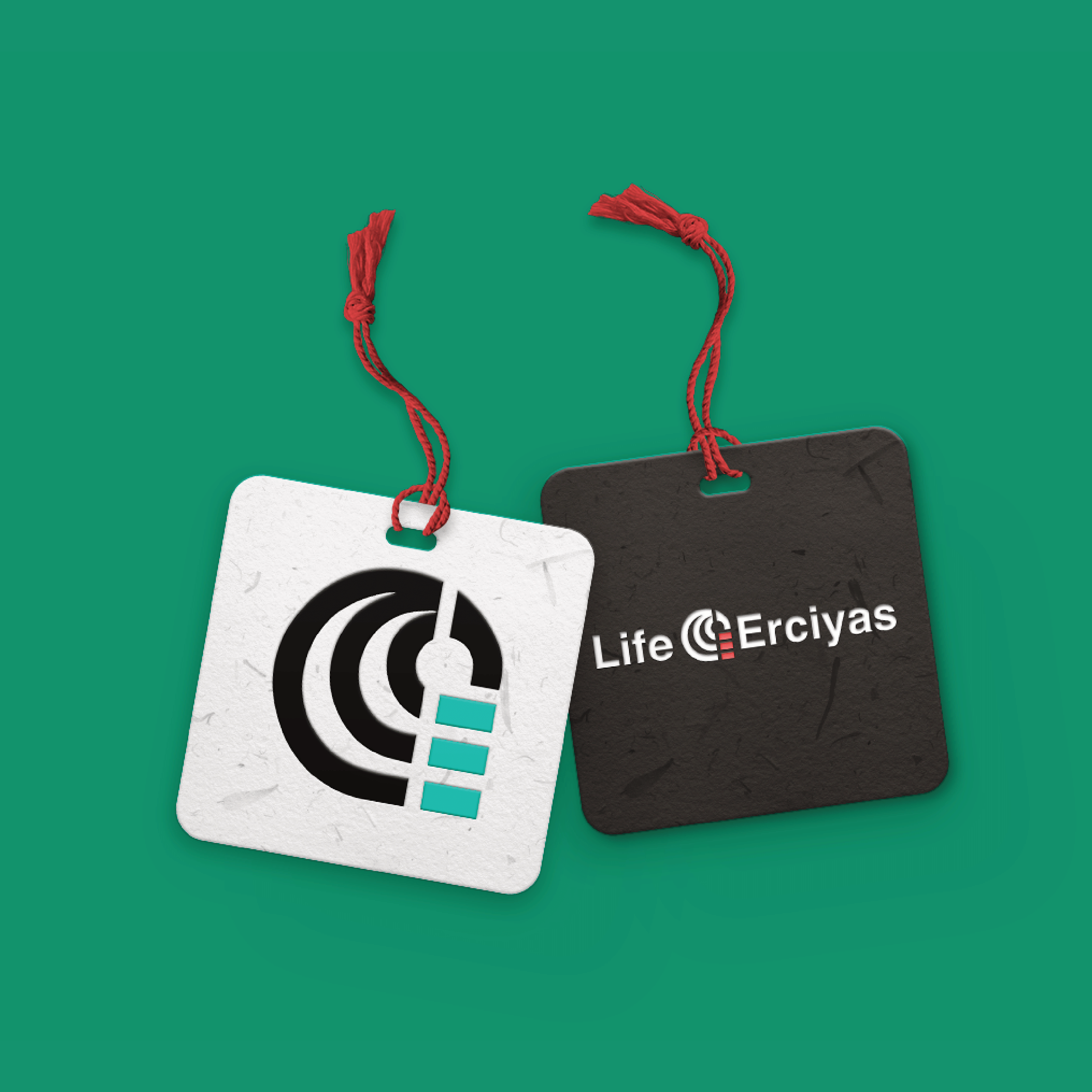 Two square tags with red strings attached, one white with a power symbol logo and one black with the text "Life Erciyas" on a green background.