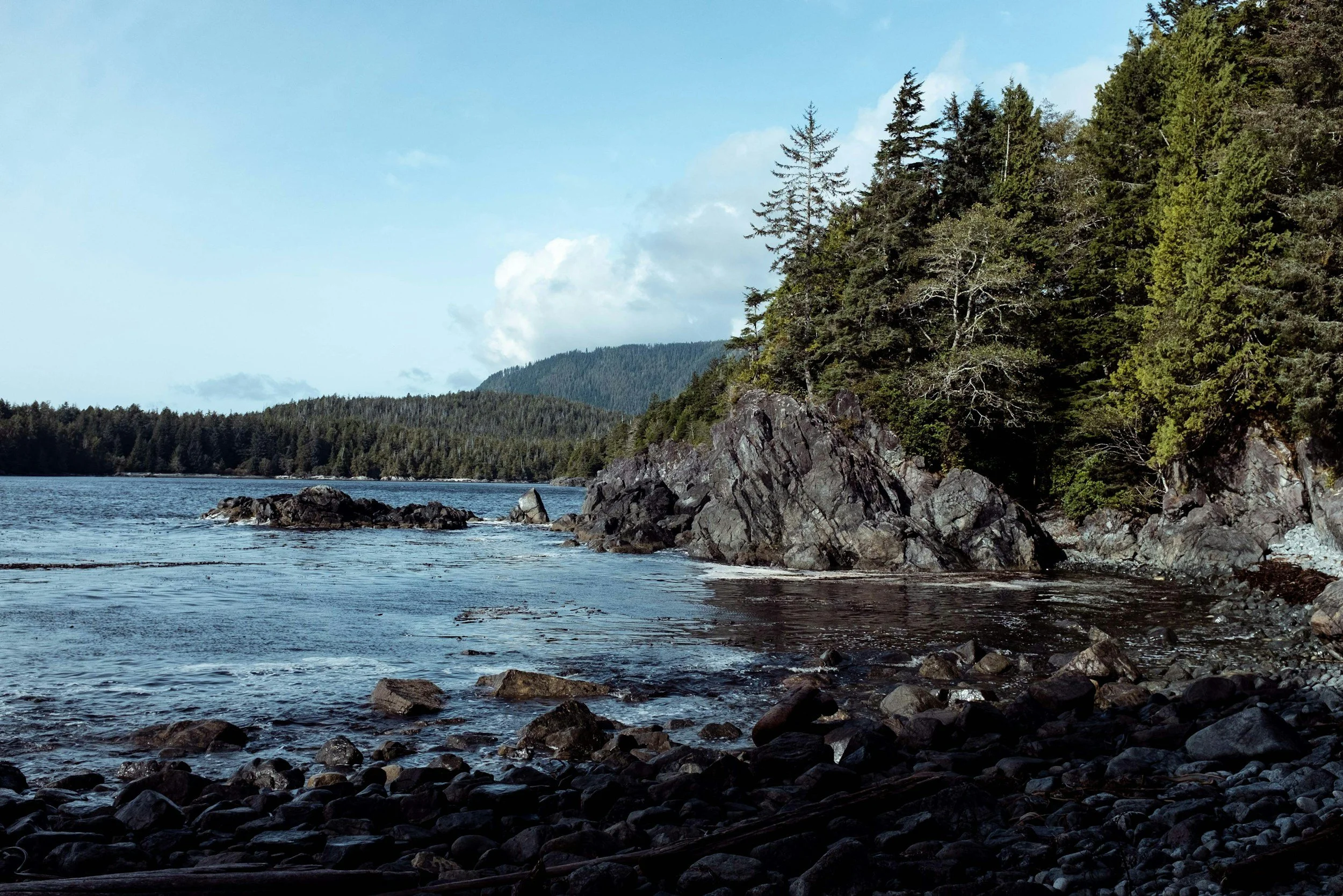 A rocky shoreline with large rocks and boulders, calm water, and a forested hillside with tall evergreen trees under a partly cloudy sky.