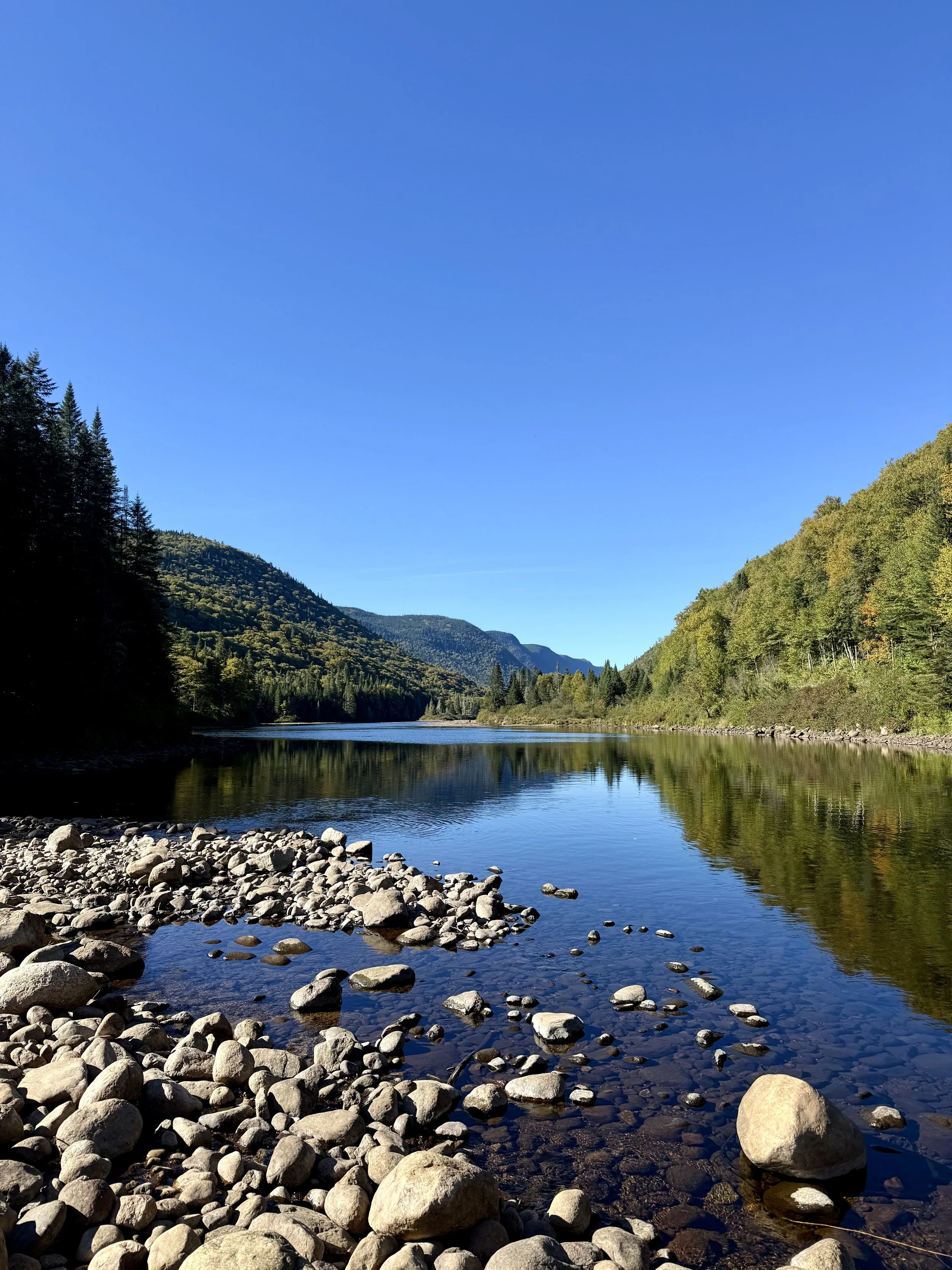 A peaceful river landscape with clear water reflecting trees on both banks and distant mountains under a bright blue sky.