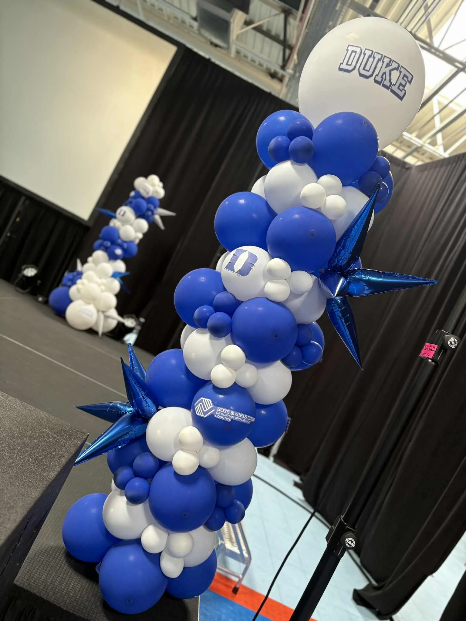 Balloon Columns & Garland