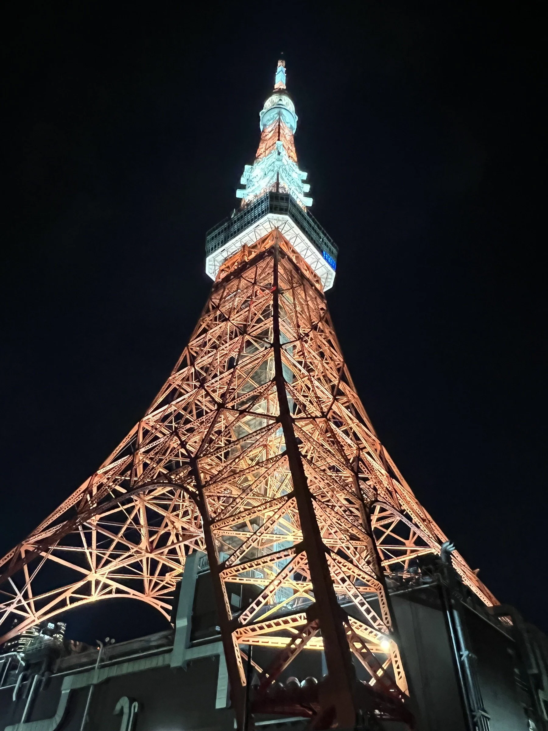 Looking Up at Night