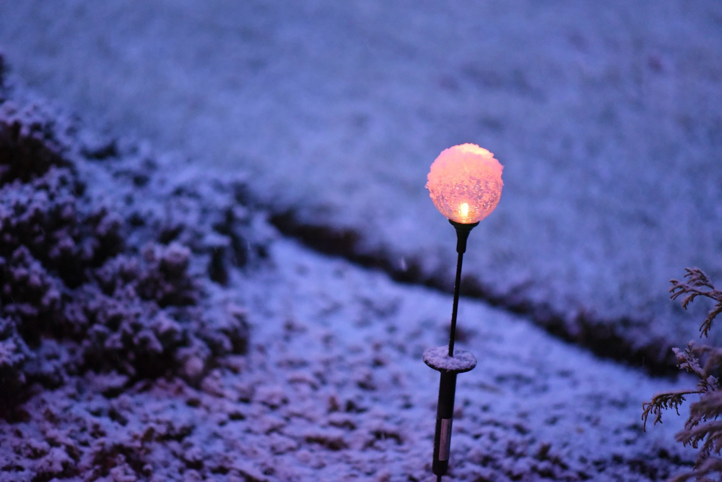 Follow the light. Warm color against blue snow transforms an ordinary scene into an atmosphere. Light becomes both the subject and the mood.
