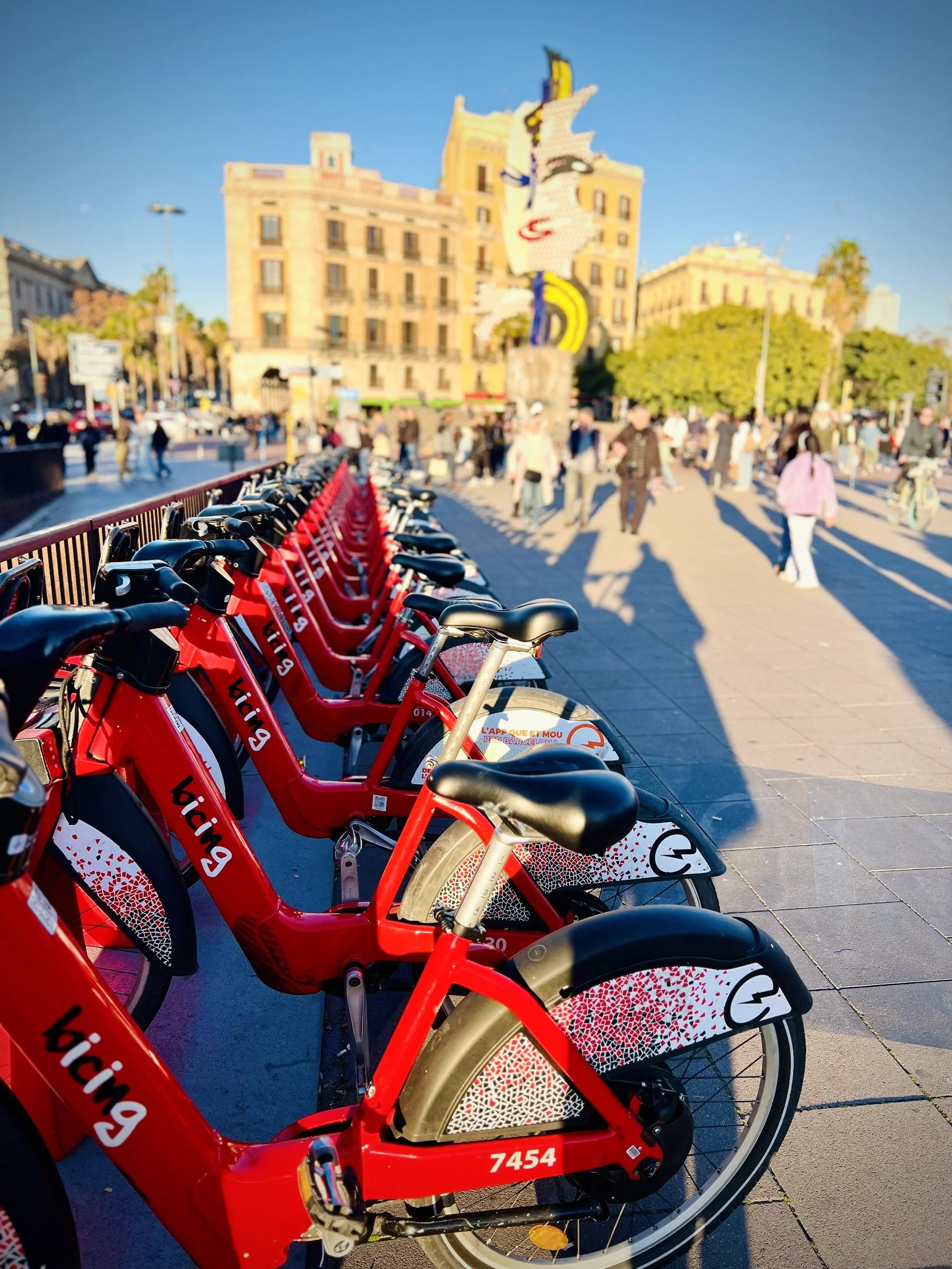 Bicycles in a Row