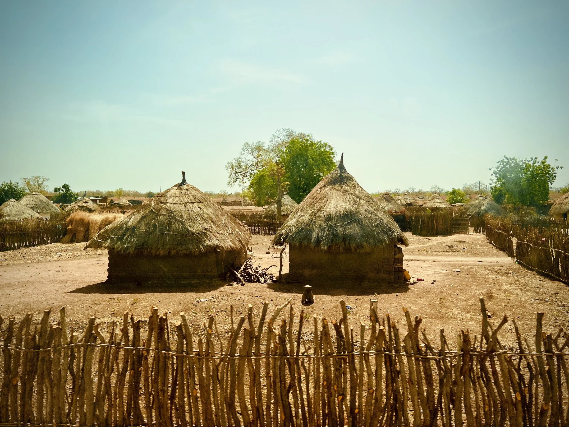 Thatched Roofs