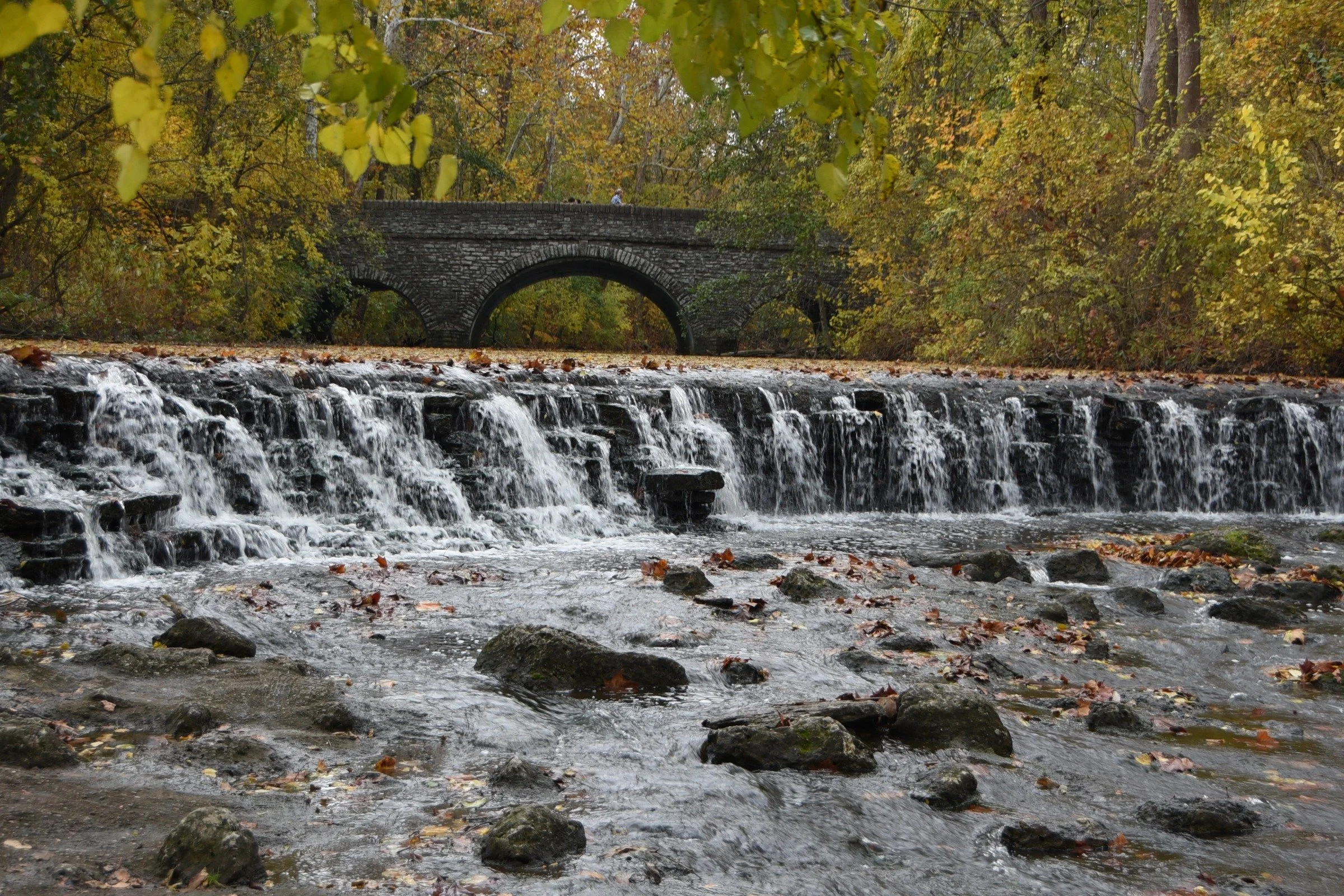 Autumn Cascade