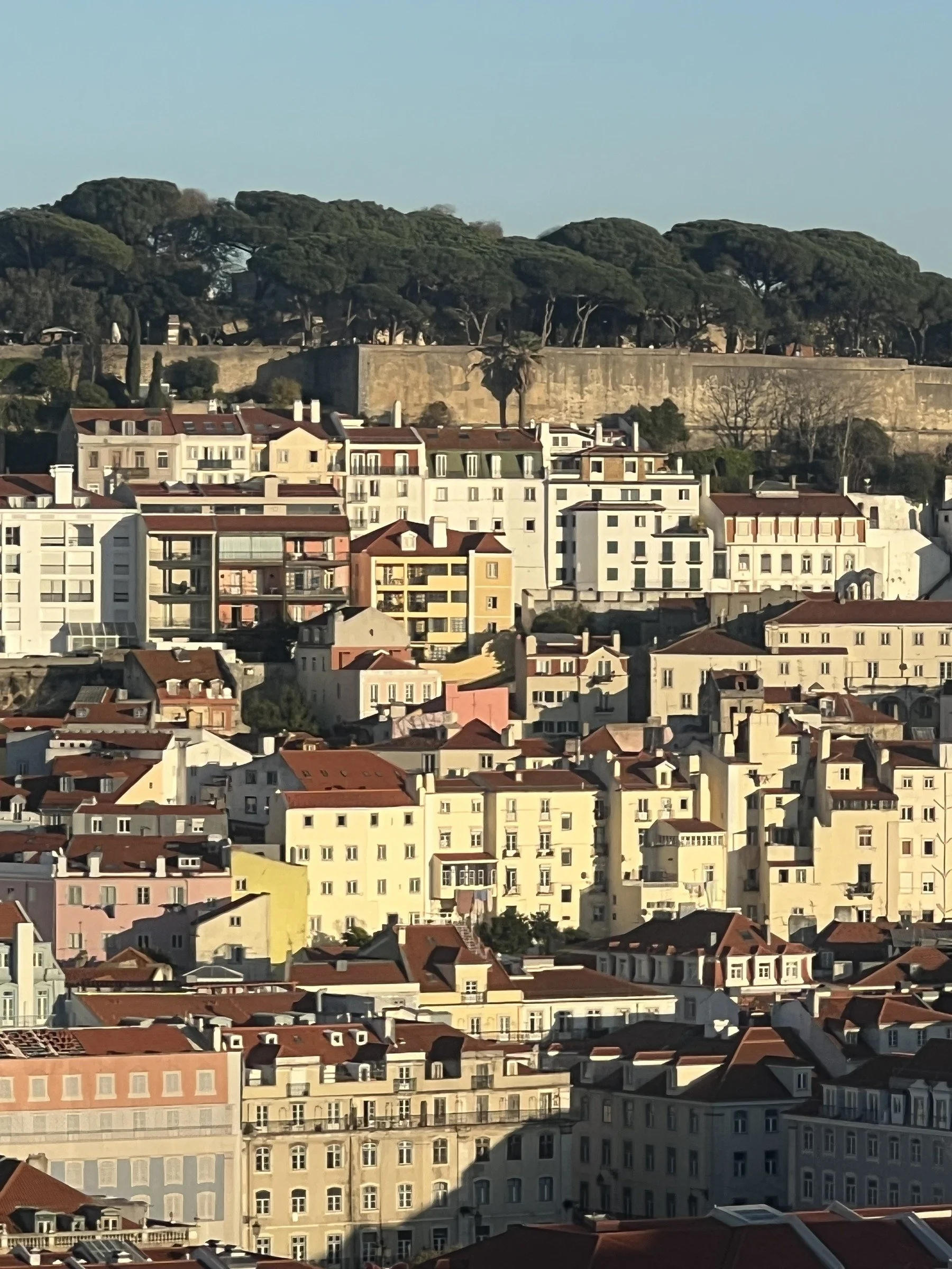 Hillside in Layers