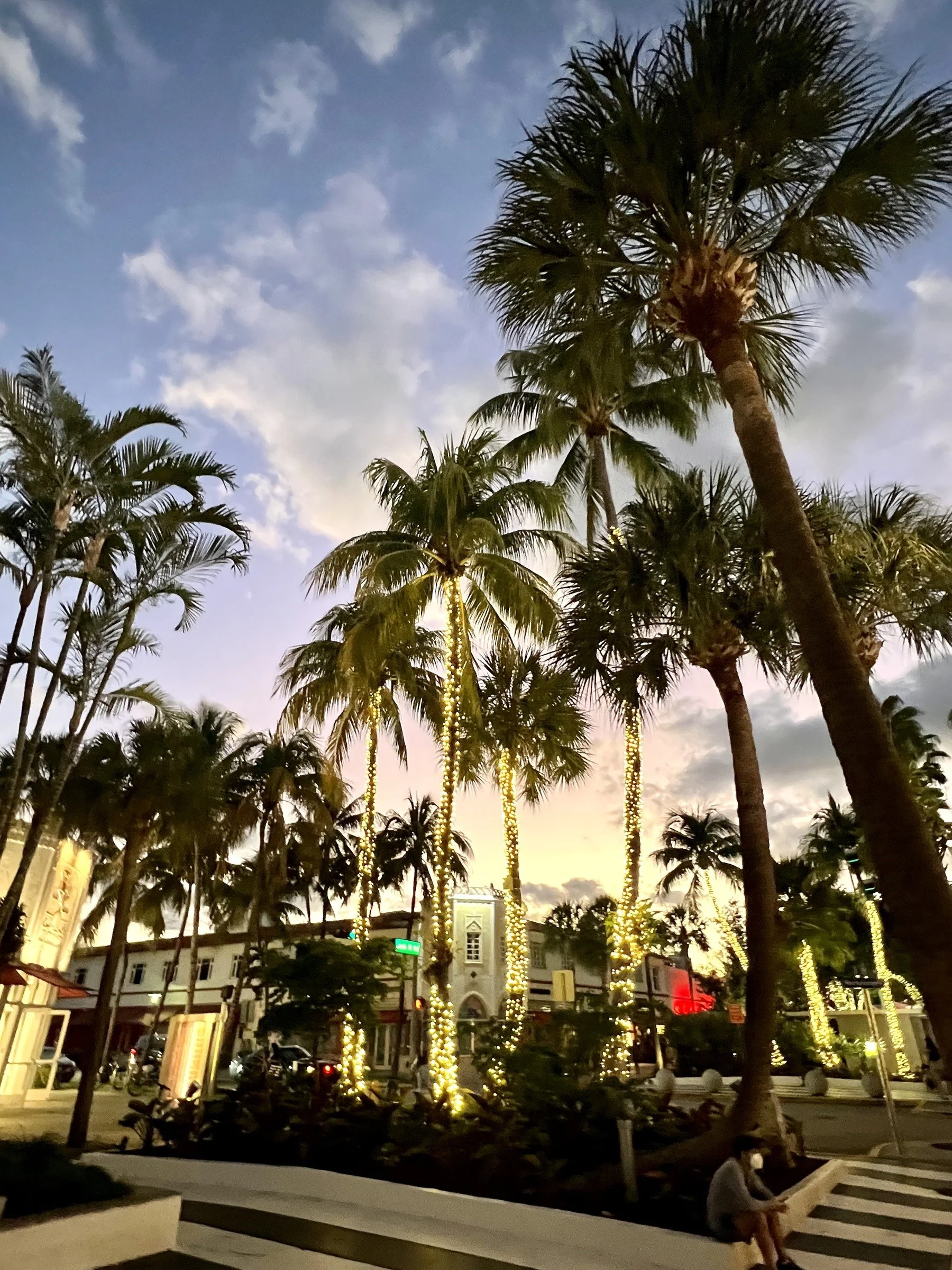 Palms at Dusk