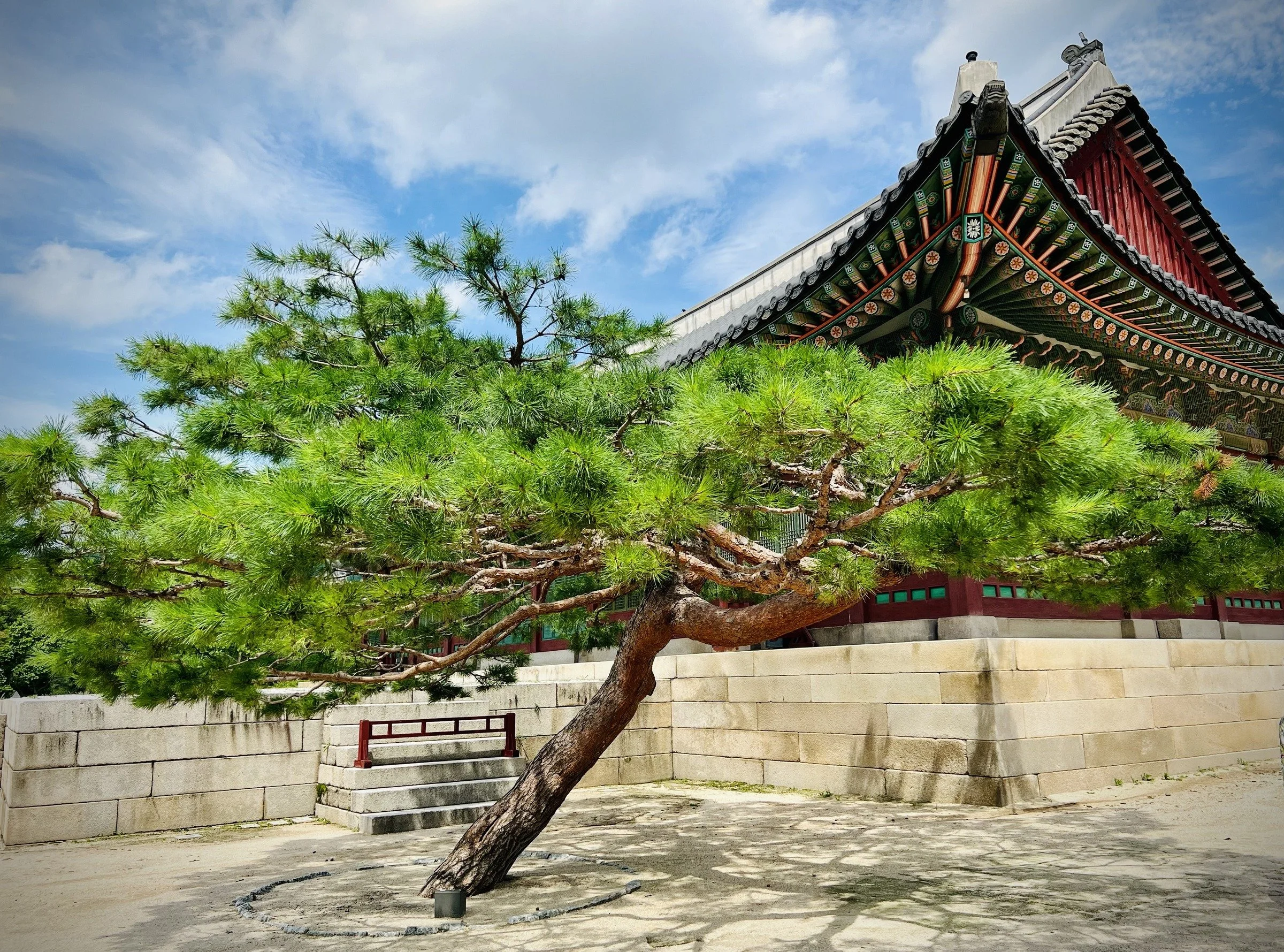 Tree and Temple