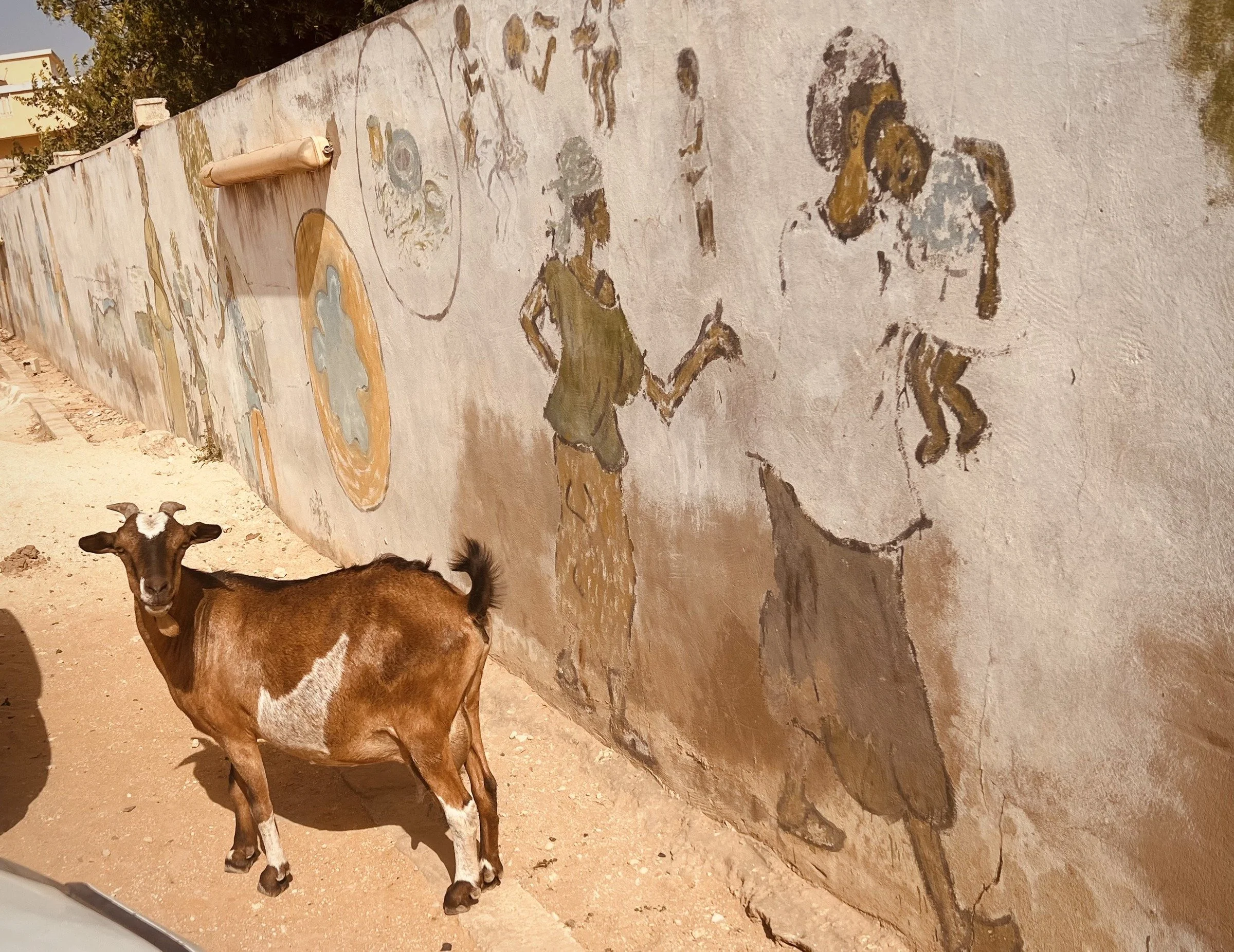 Against the Weathered Wall