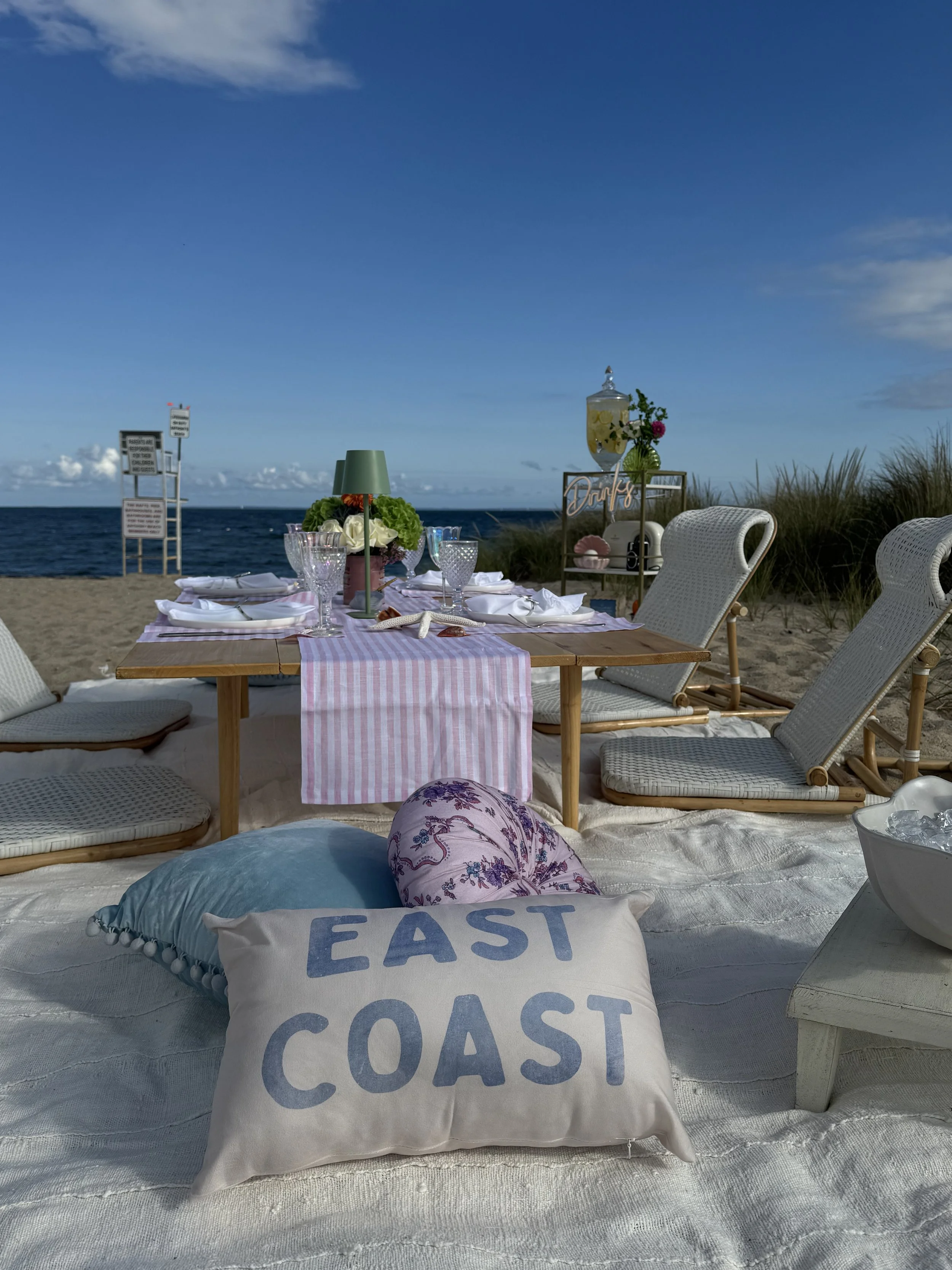 Newport RI bachelorette picnic with pink décor and custom signage