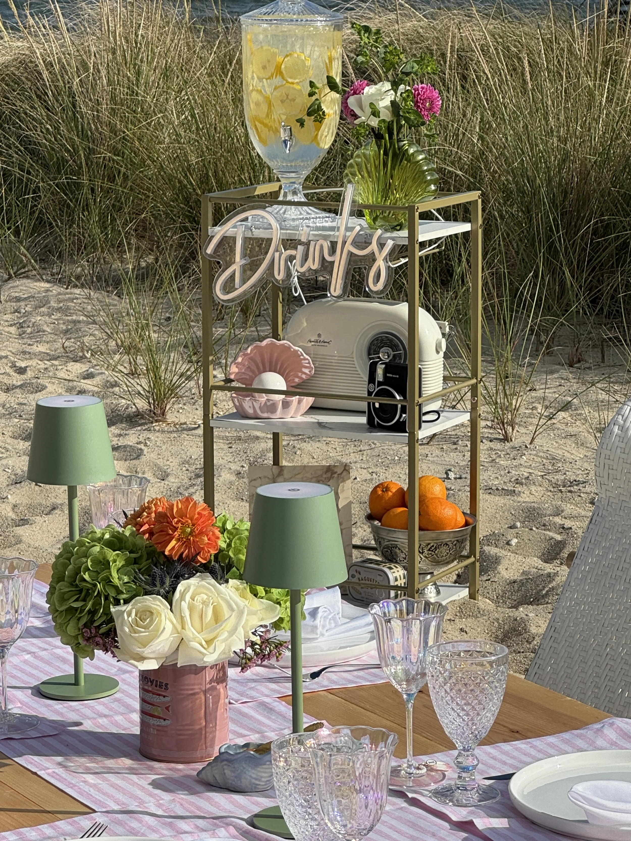 Newport RI bachelorette picnic with pink décor and custom signage