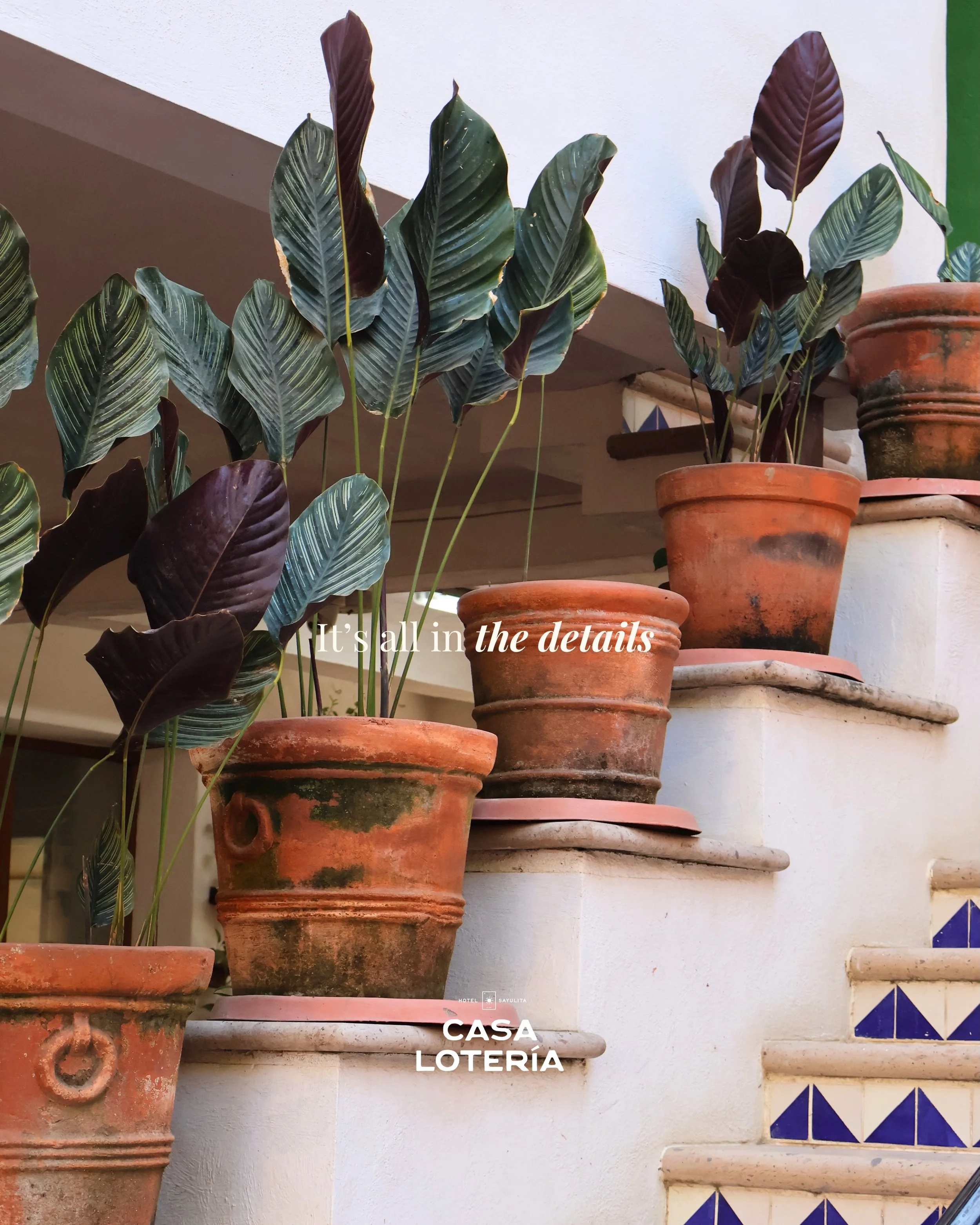 Not everything is meant to be loud&hellip;
Some of the best parts are in the details.✨☀️

Book your stay: www.casaloteria.mx
📲 Personalized assistance via WhatsApp: +322 236 4785

#CasaLoteria #Sayulita #VisitSayulita #SayulitaBeach