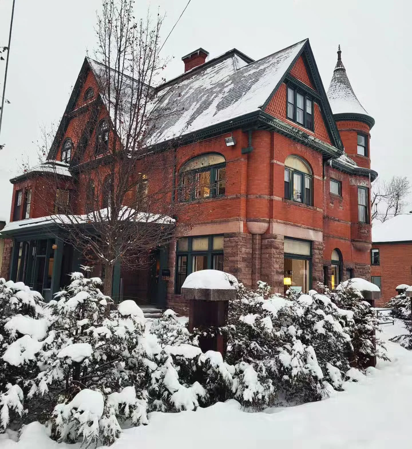 We are so back ☕️📚 hit us up for all your start of the semester, yoga, larping, qigong, rehearsing, film watching needs.