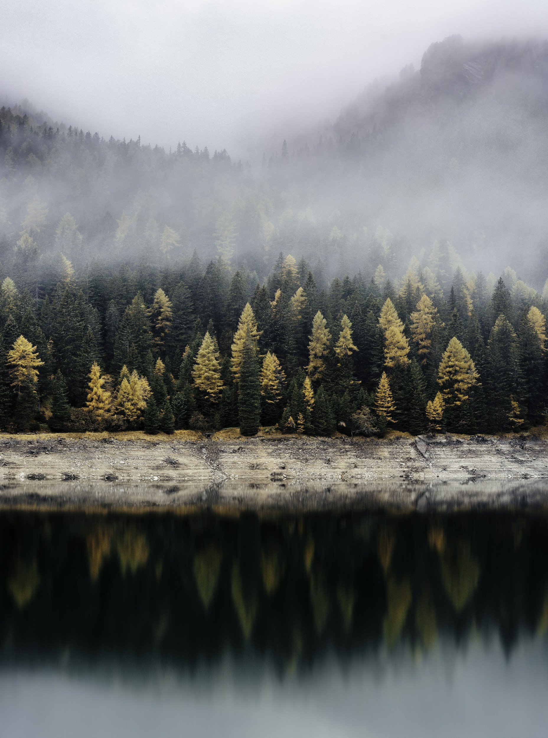 Wald mit Herbstlaub im Nebel, im Vordergrund ein See