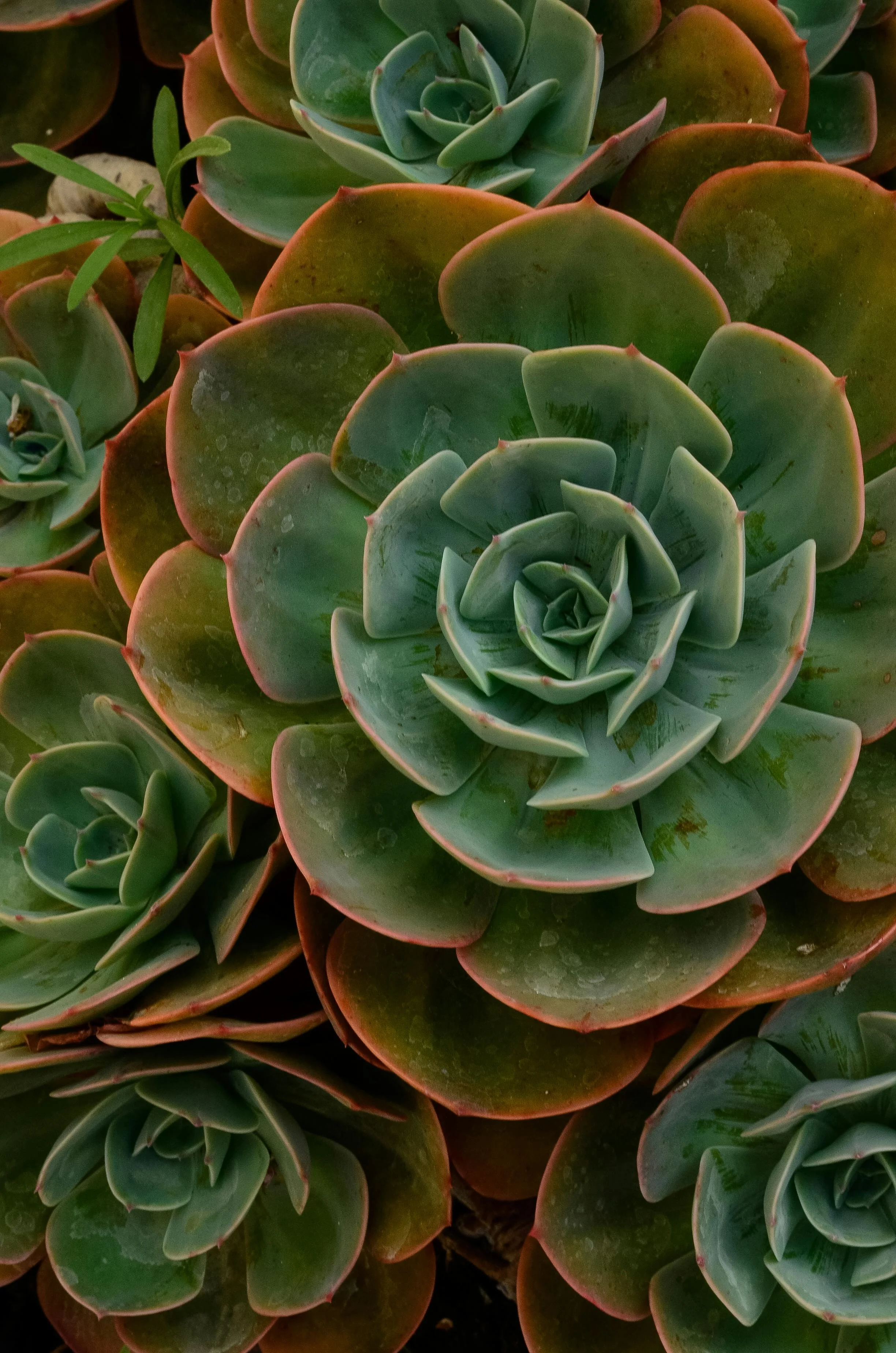 Succession Planning: How to Build Your Next Leaders