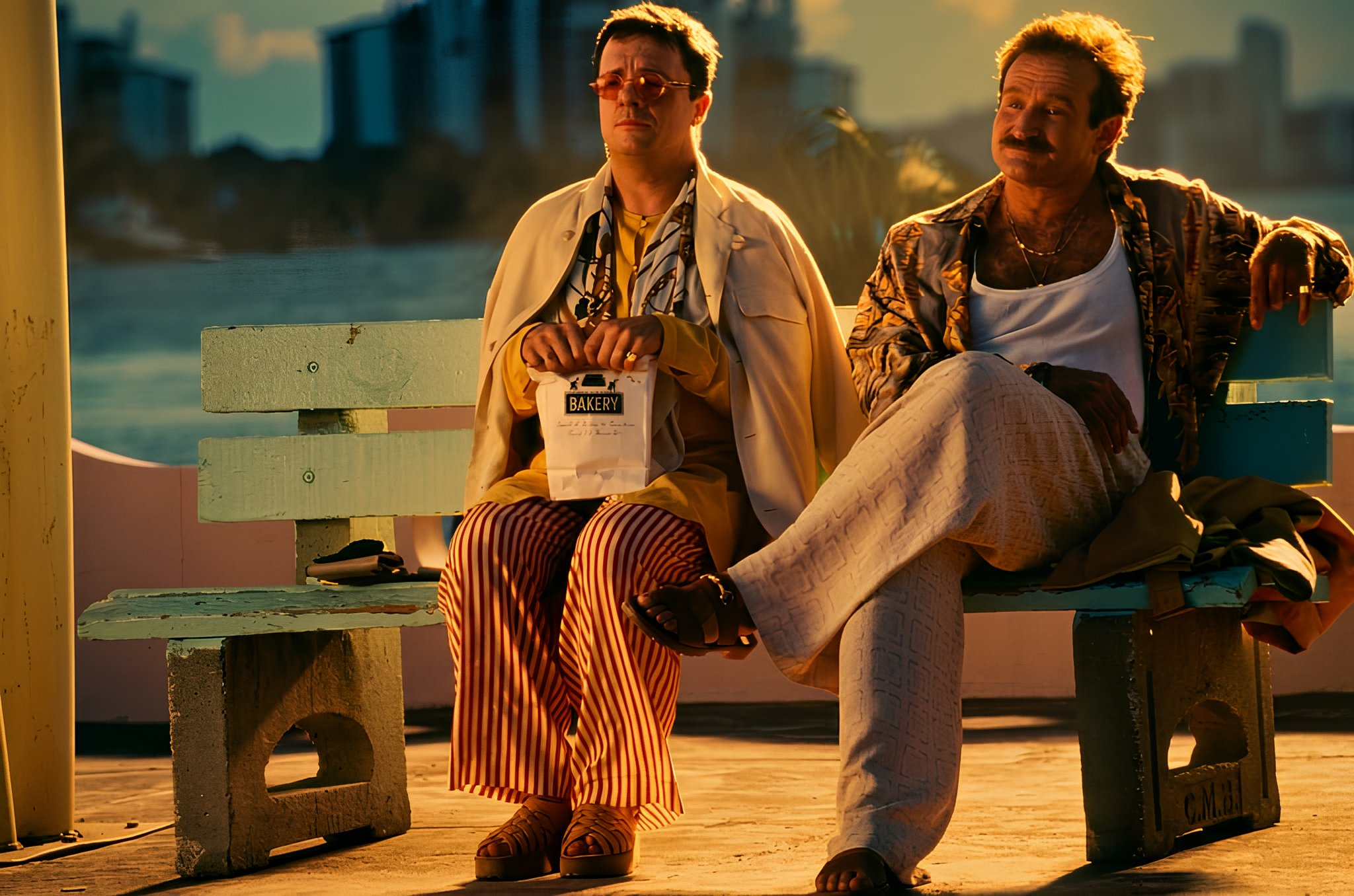 The Birdcage 1996 - Ranking Every Robin Williams Movie