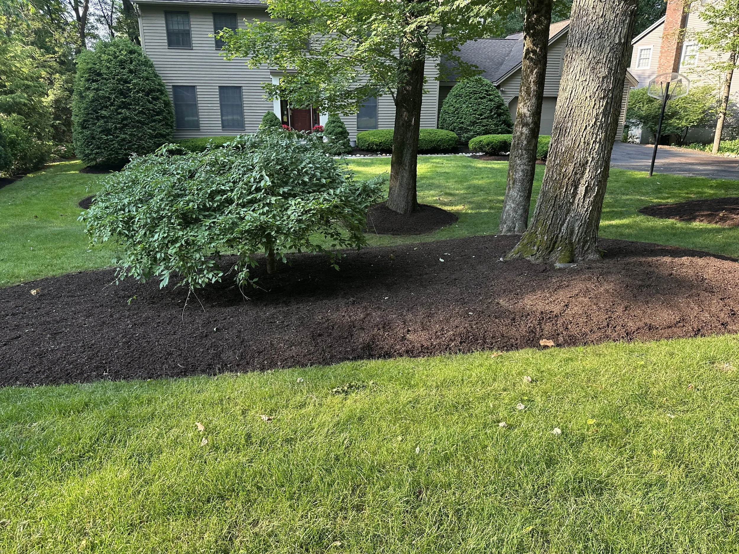 Well-maintained front yard with mulched flower bed, trees, and a house in the background.