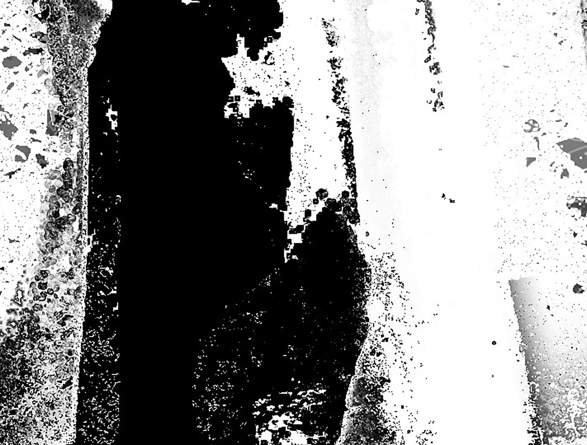 drew_eilers_DA_canvas_detail_abstract_B+W_4636_3.jpg