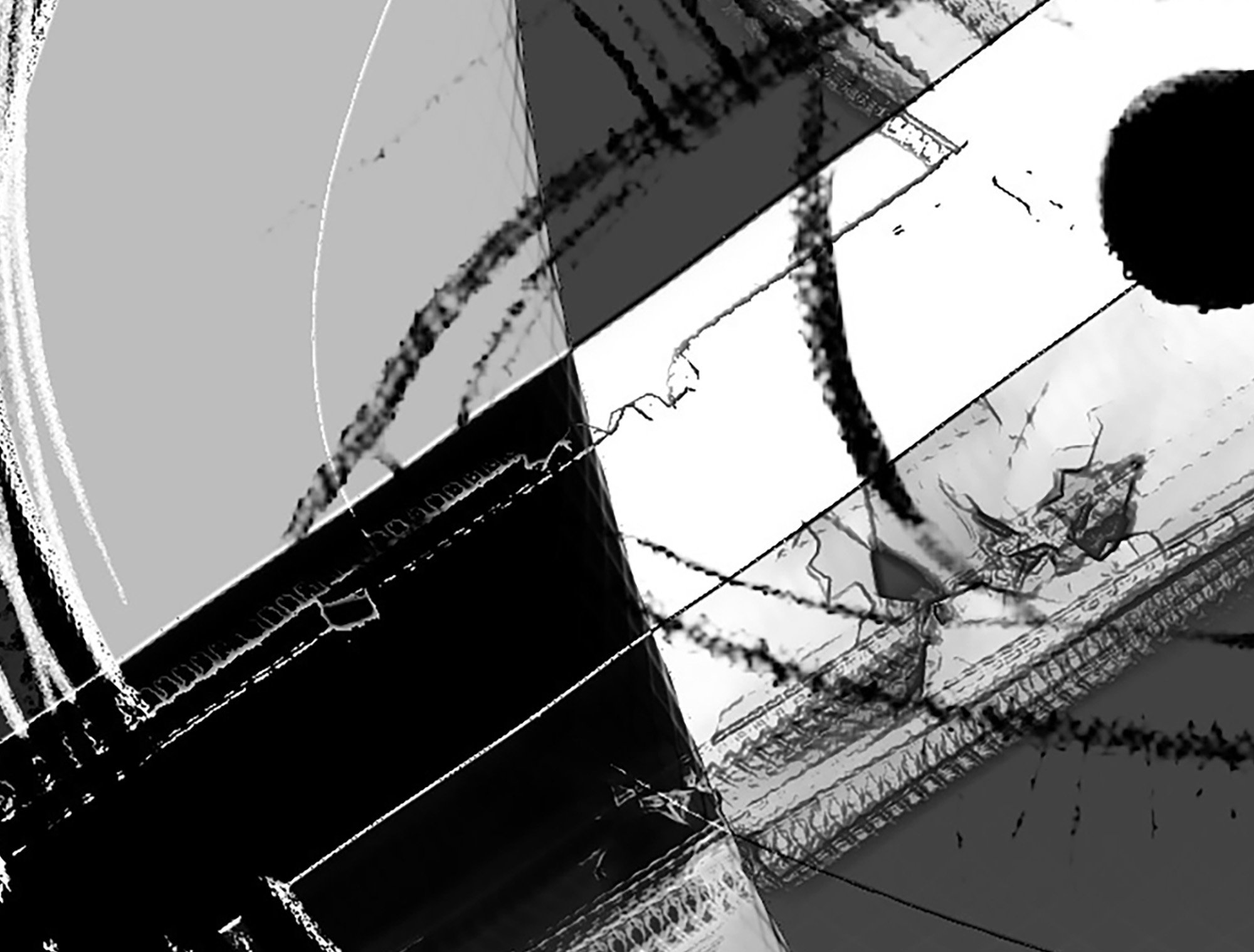 drew_eilers_DA_canvas_detail_abstract_B+W_5836_7.jpg