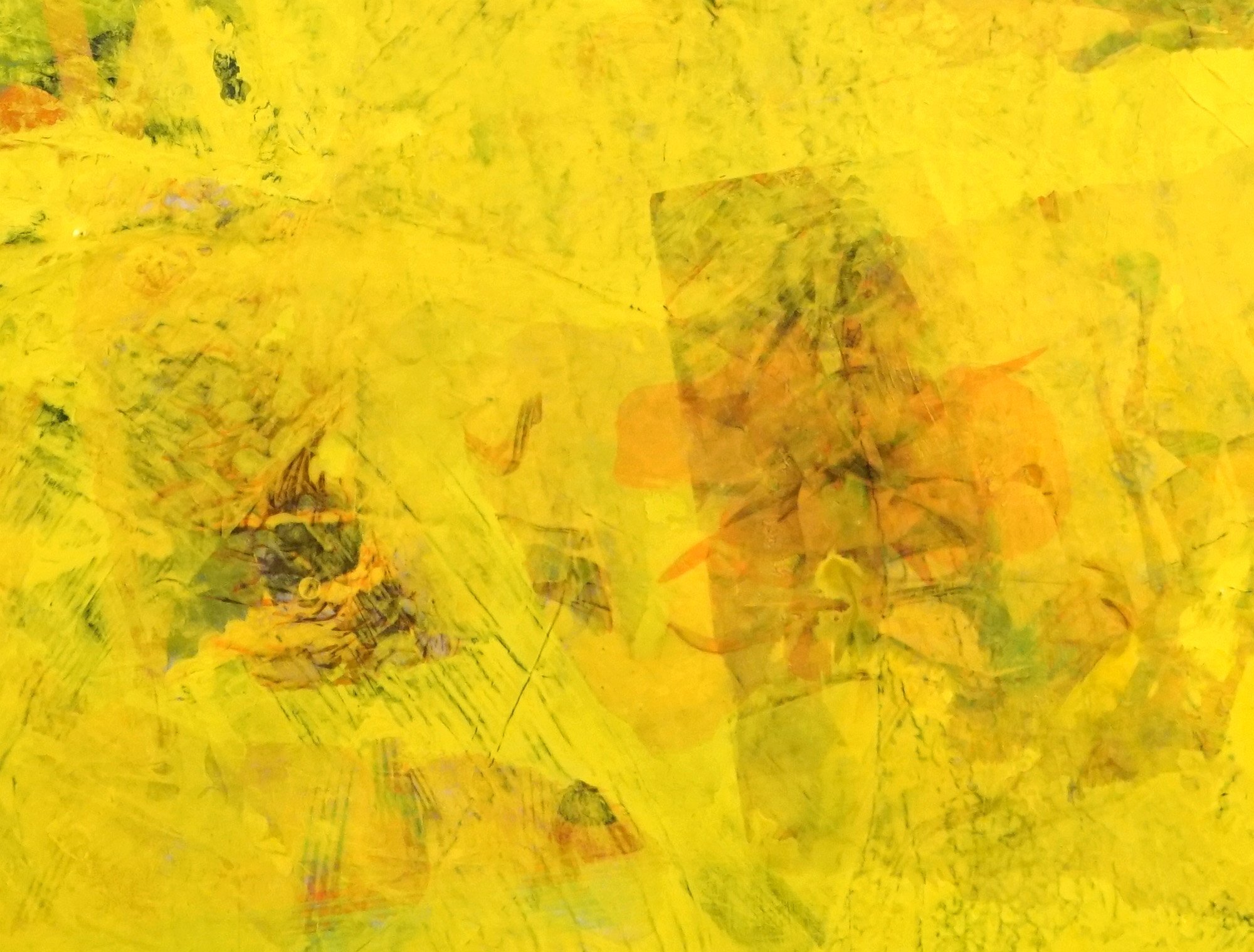 drew_eilers_canvas_detail_apparations_5036.jpg