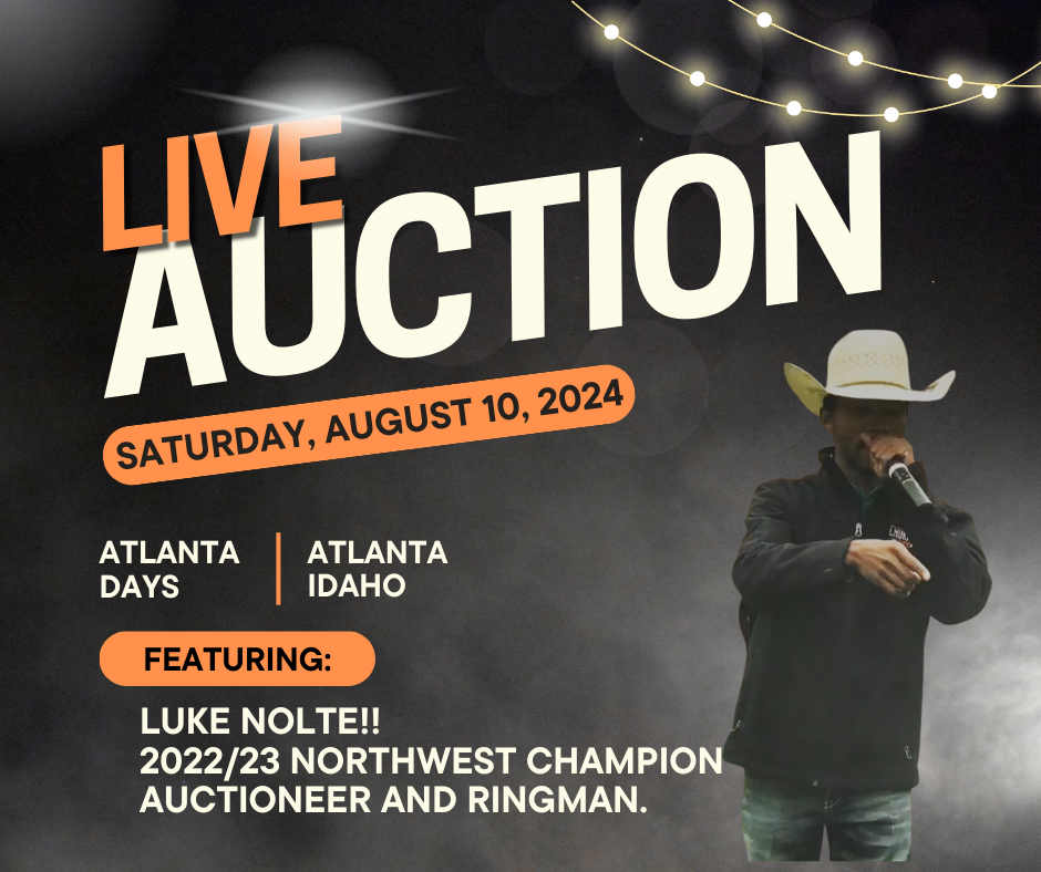 Auction.png