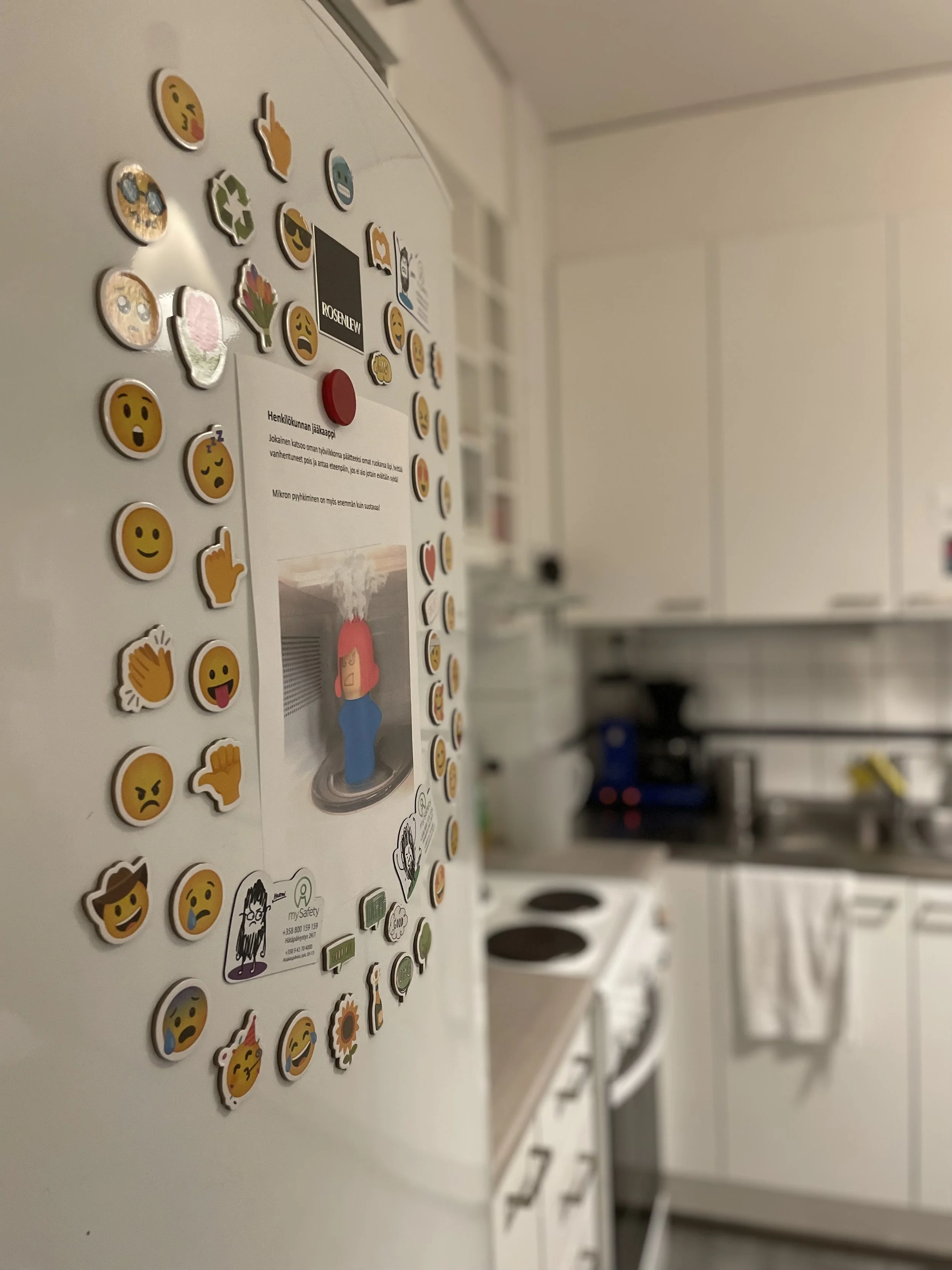 1_sällikoti jääkaappimagneetit.jpeg