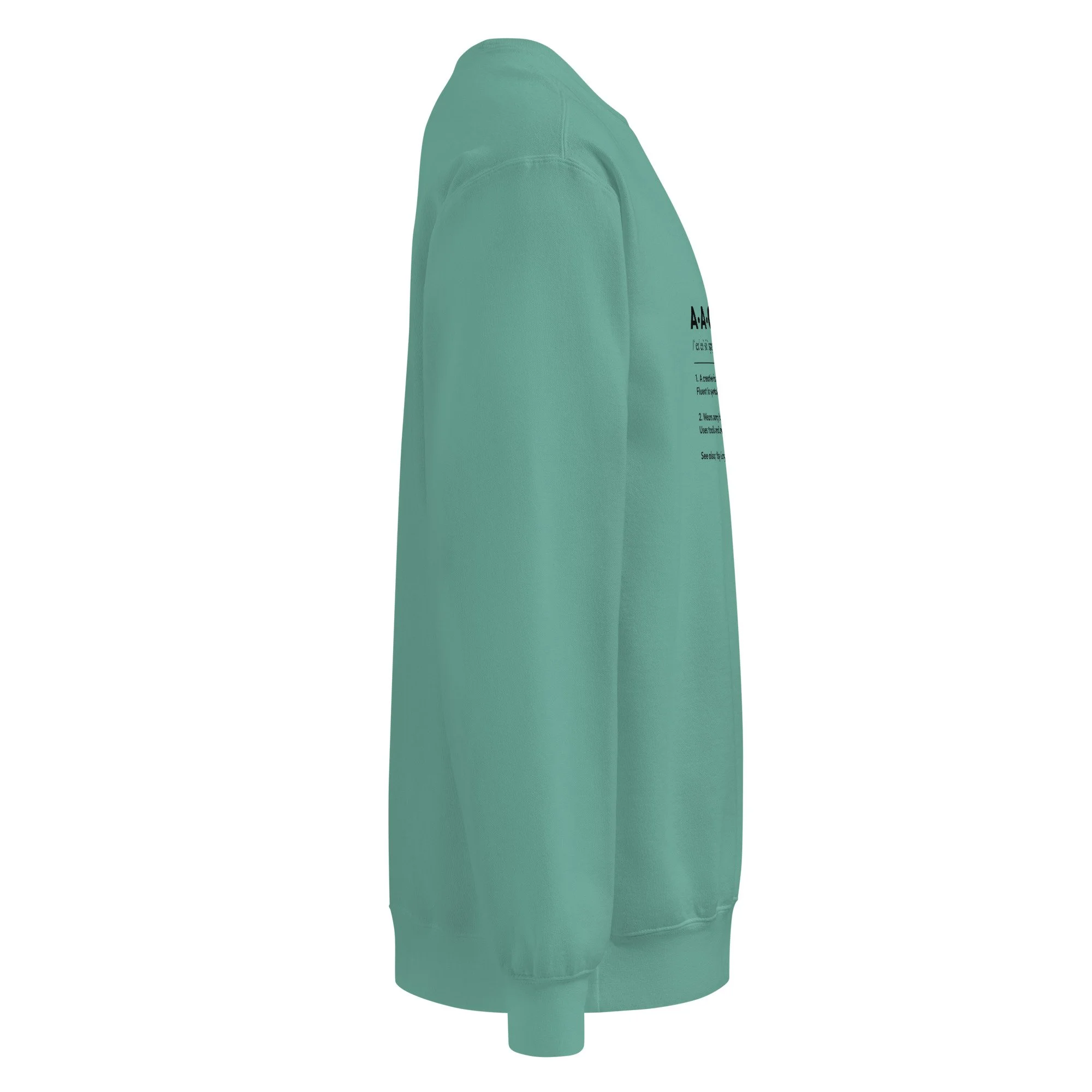 unisex-garment-dyed-sweatshirt-seafoam-right-68a73ef1ecbee.jpg