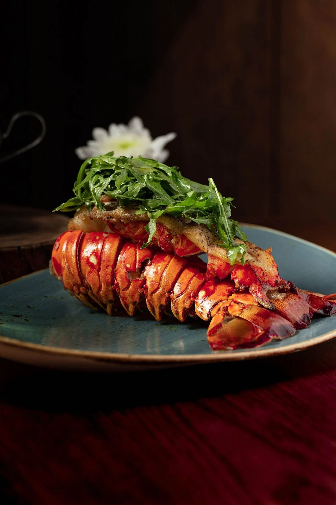 langosta-caribena.jpg