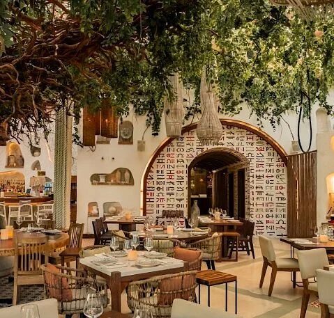 Luxury villa and concierge experiences in Tulum — Prestigia México