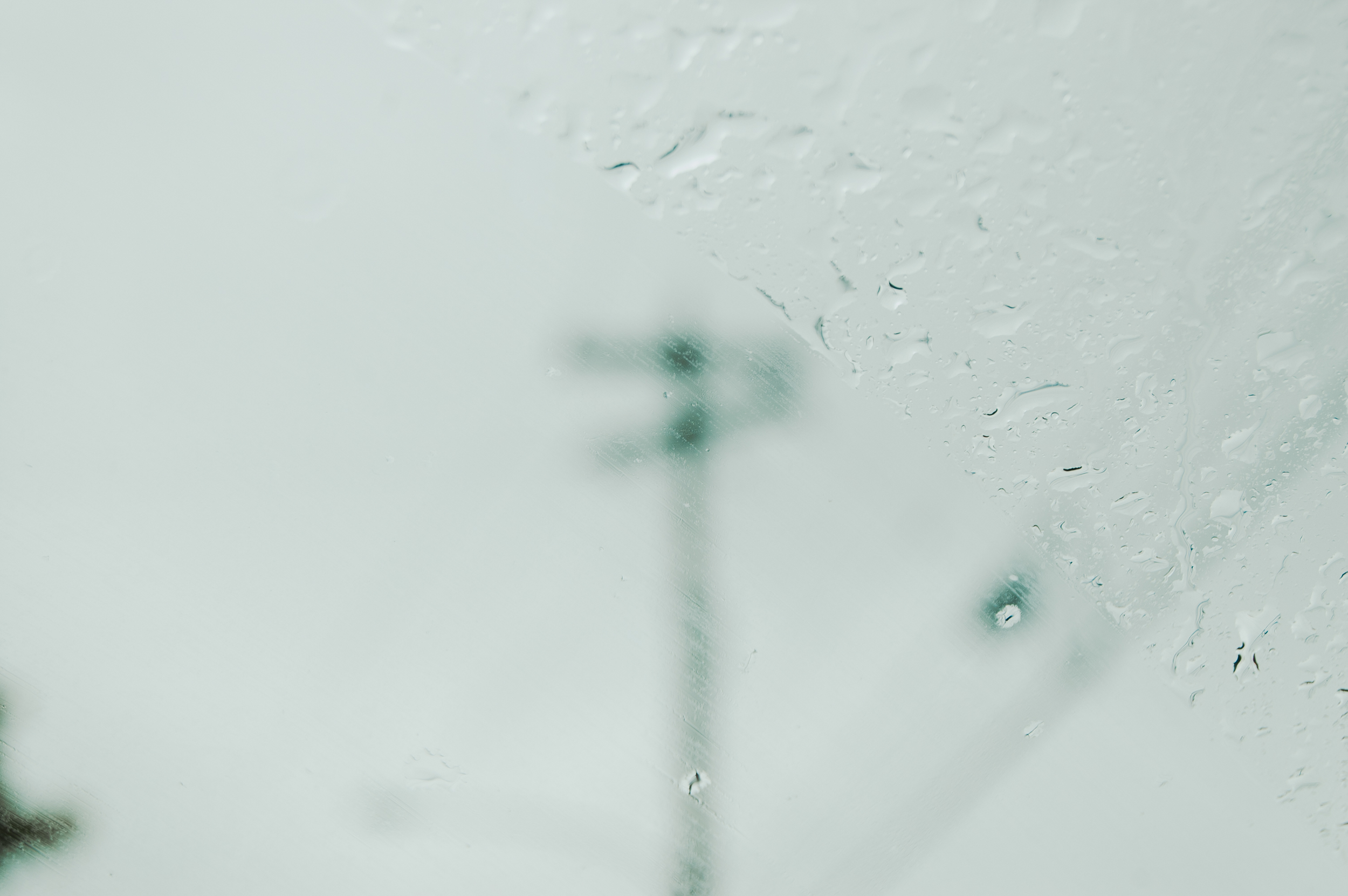 MSmith20050506-DSC-6 (1).png