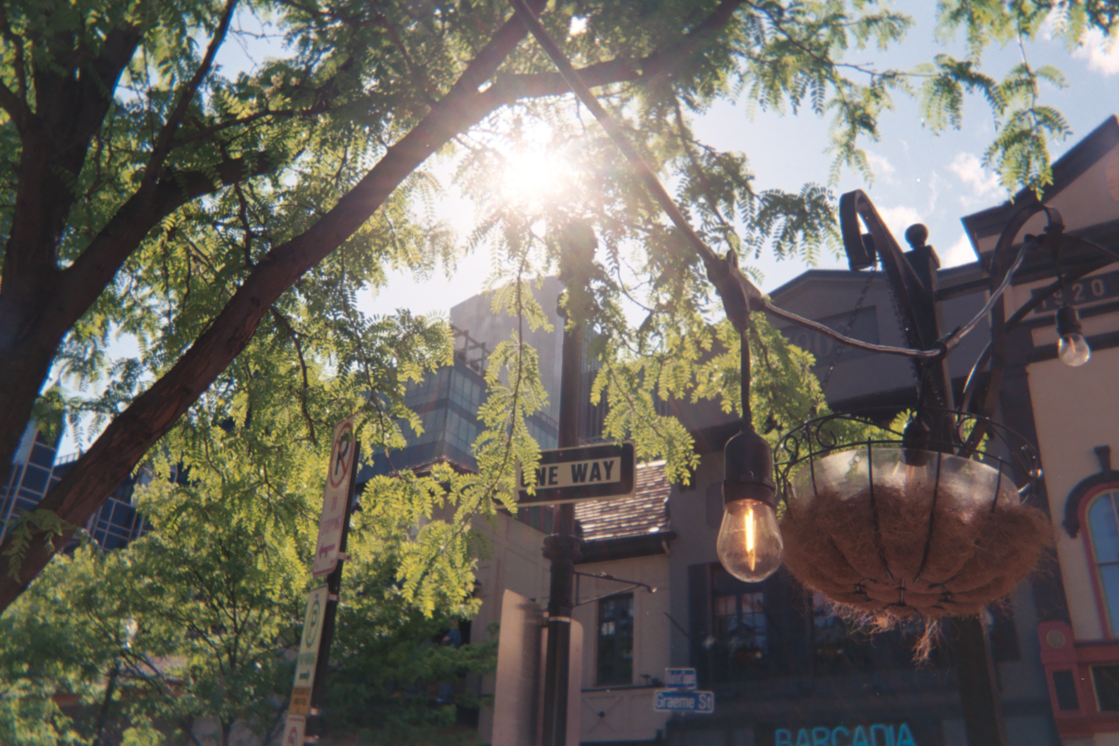 AAA006A-jpg.png