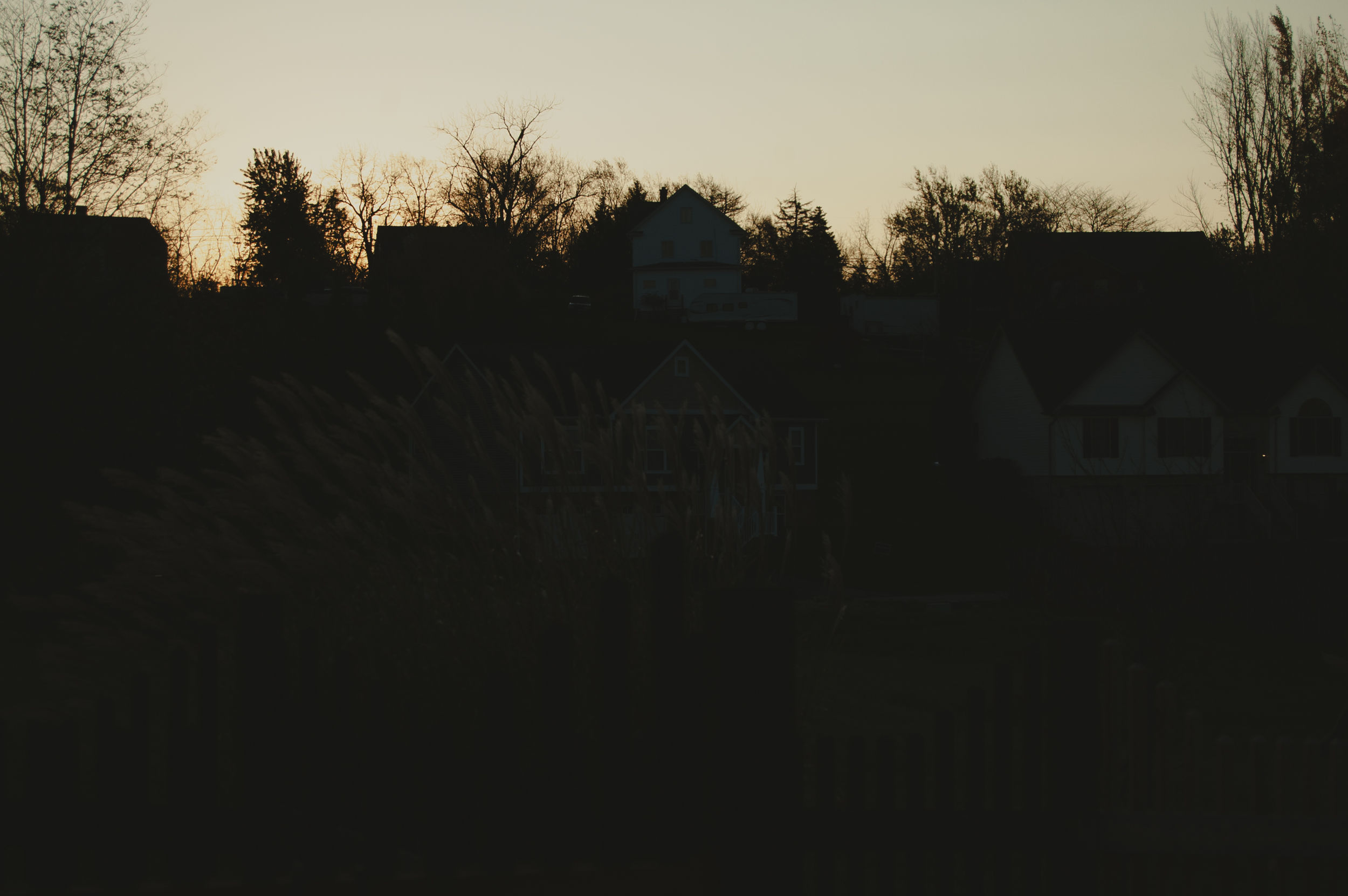 MSmith20050509-DSC-6 (3).png