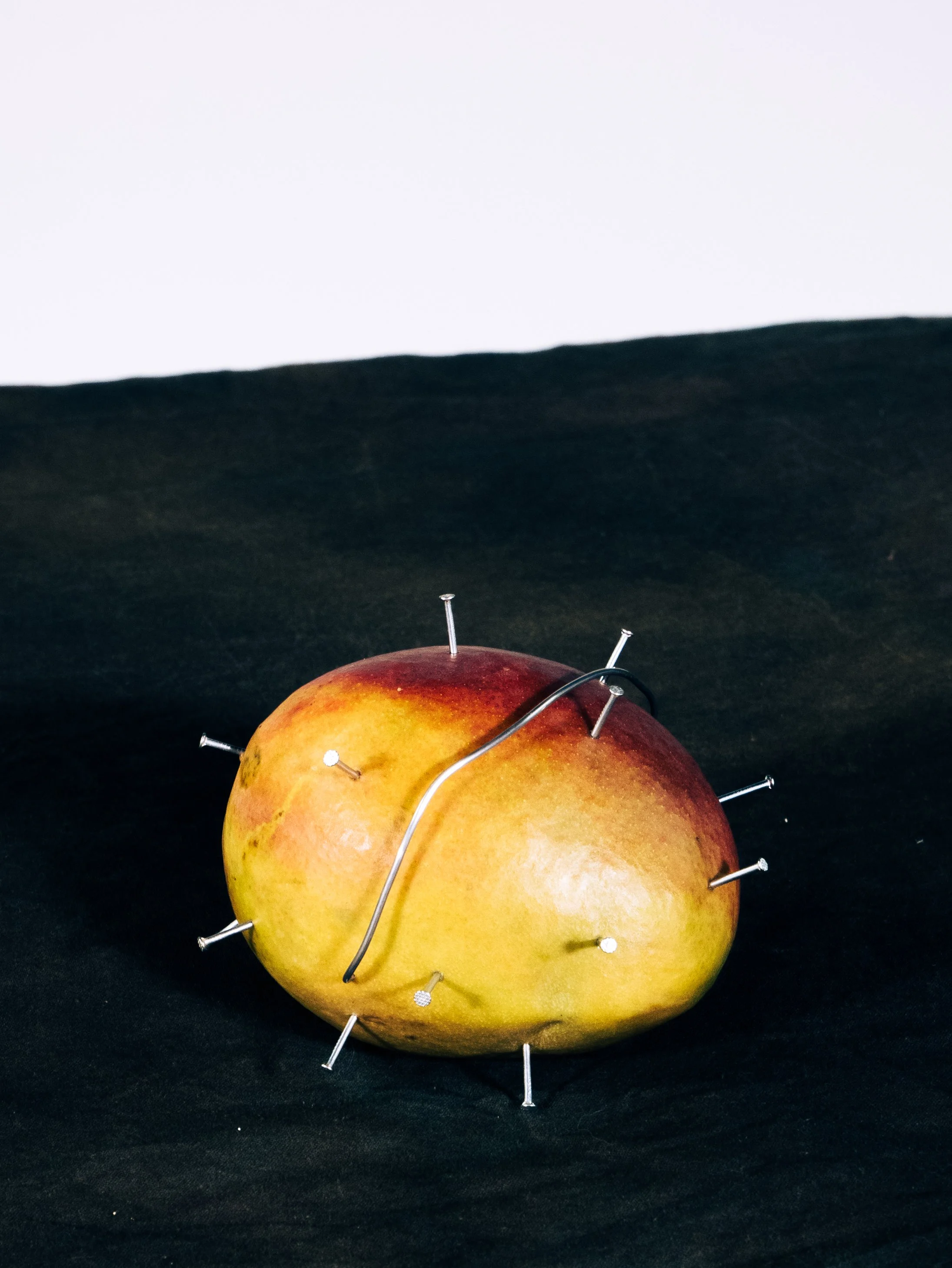 The Gift of Mangos.jpg