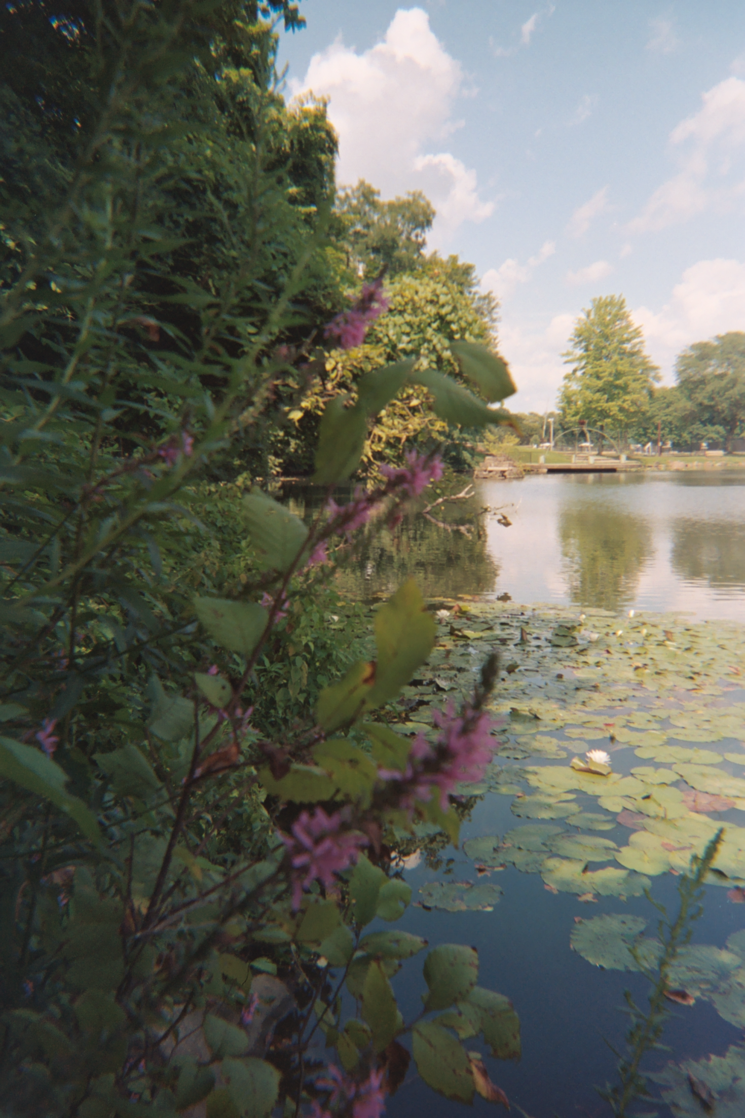 AAA020-jpg.png