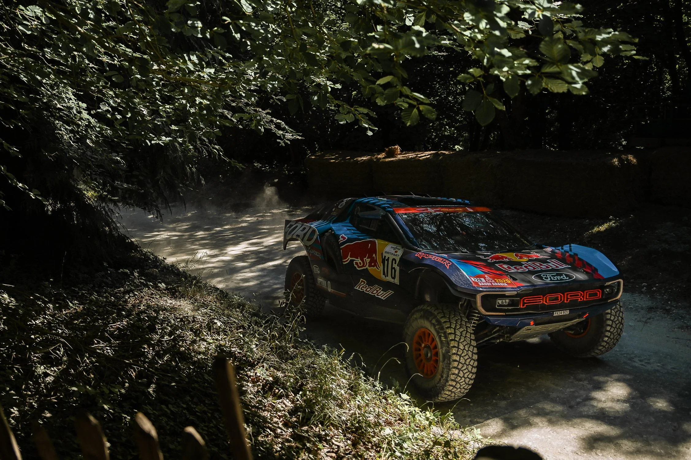 DSC_7879.jpg