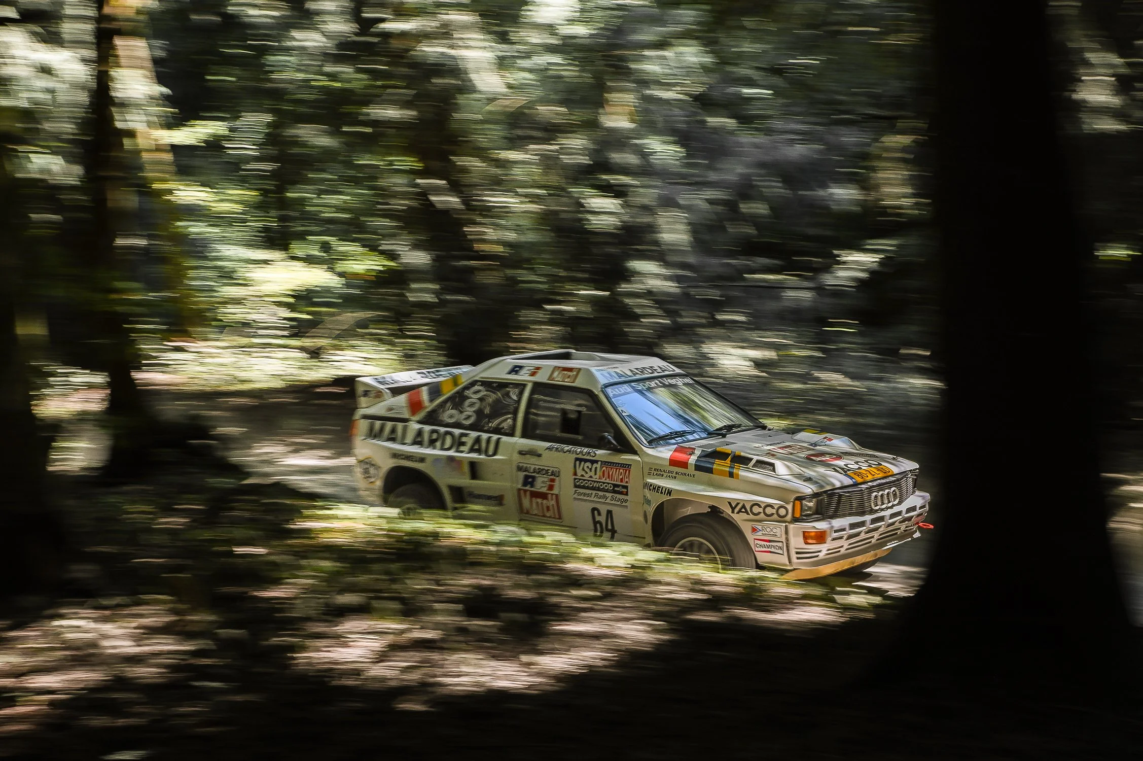 DSC_7976.jpg