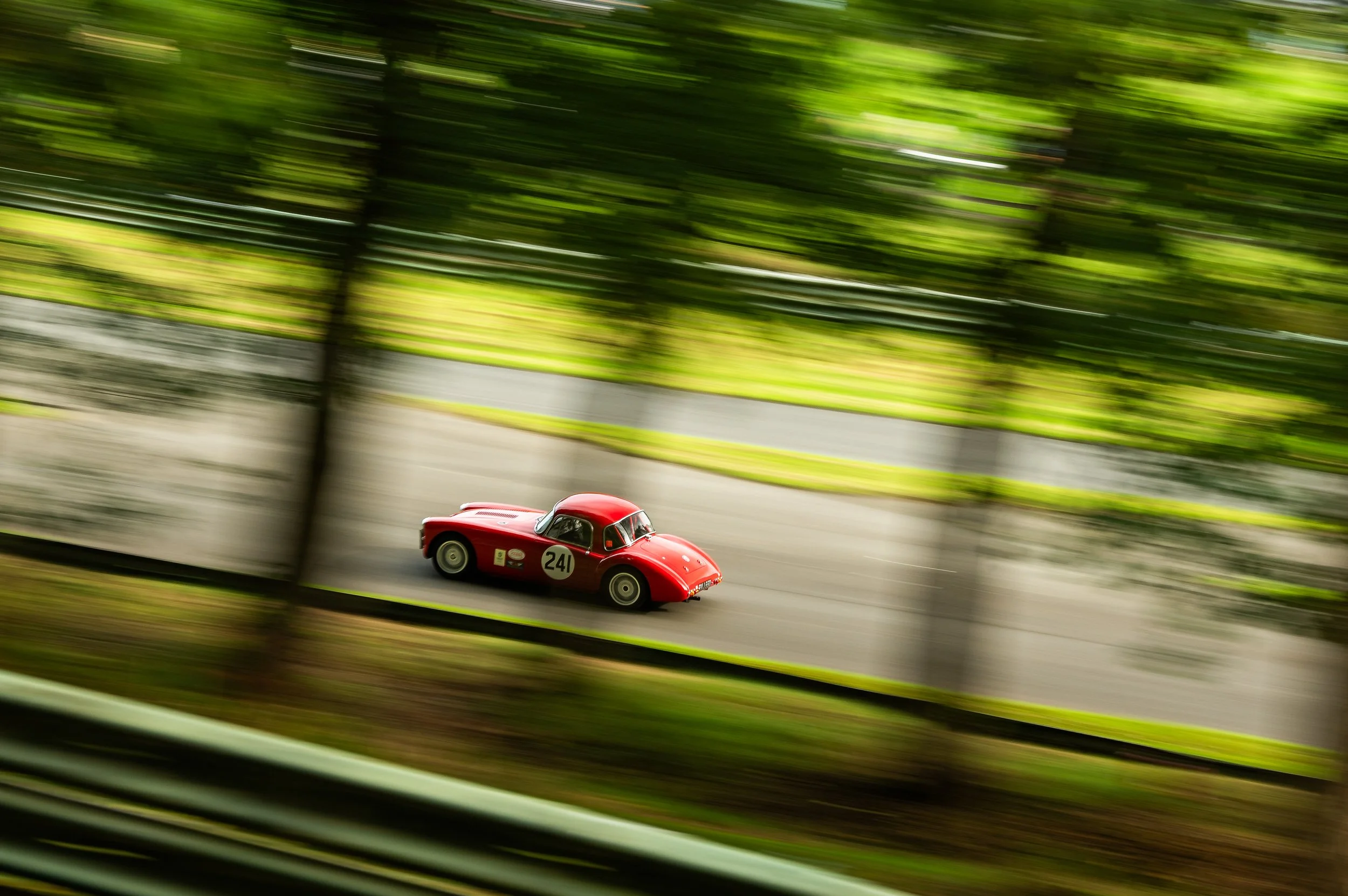 DSC_4589.jpg