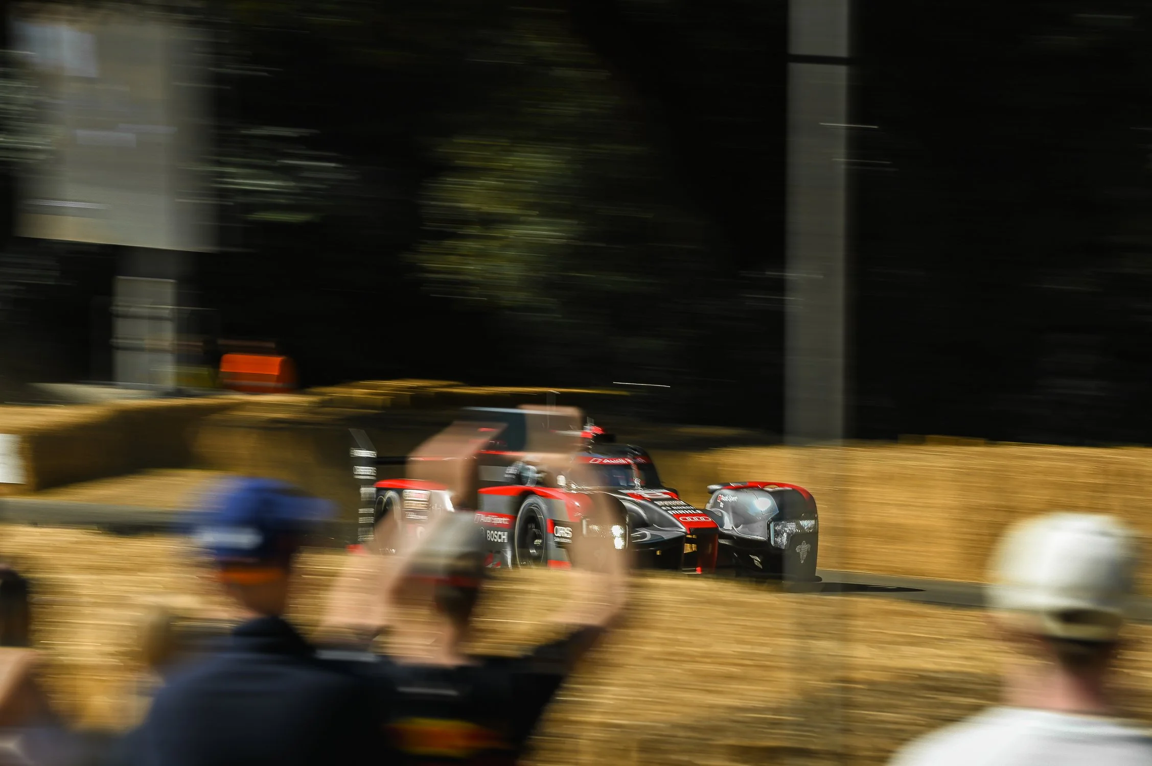 DSC_6664.jpg
