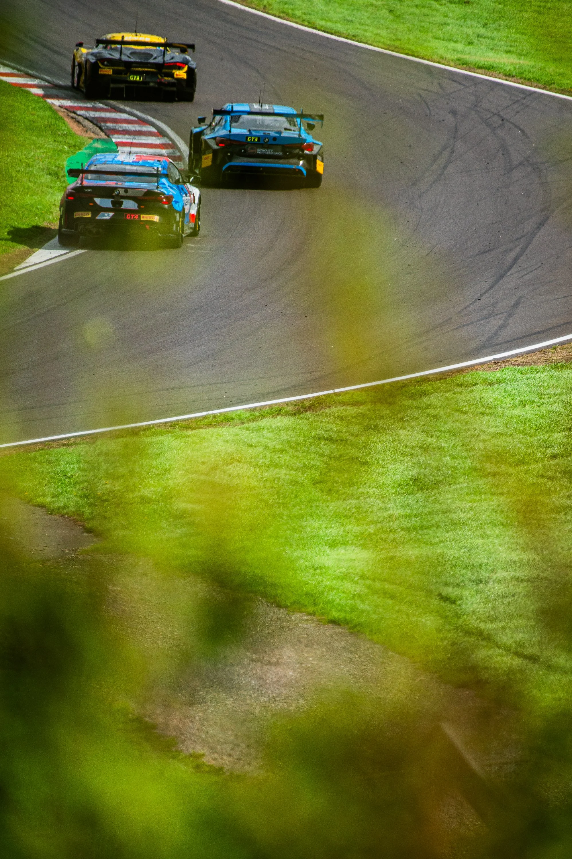 DSC_8238.jpg