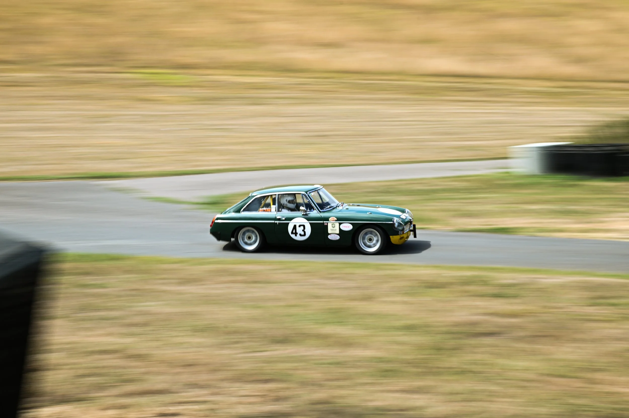 DSC_1333.jpg