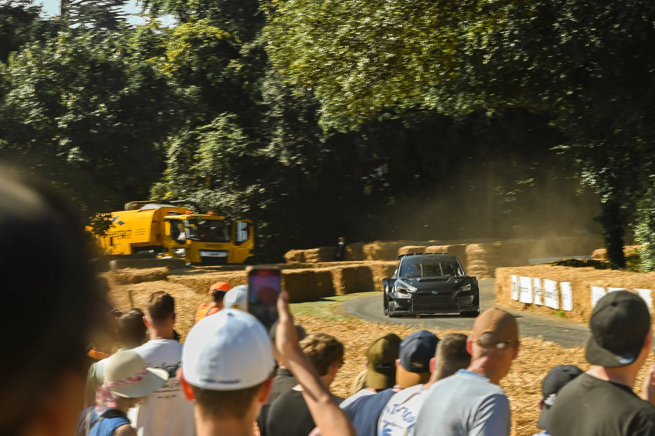 DSC_6791.jpg